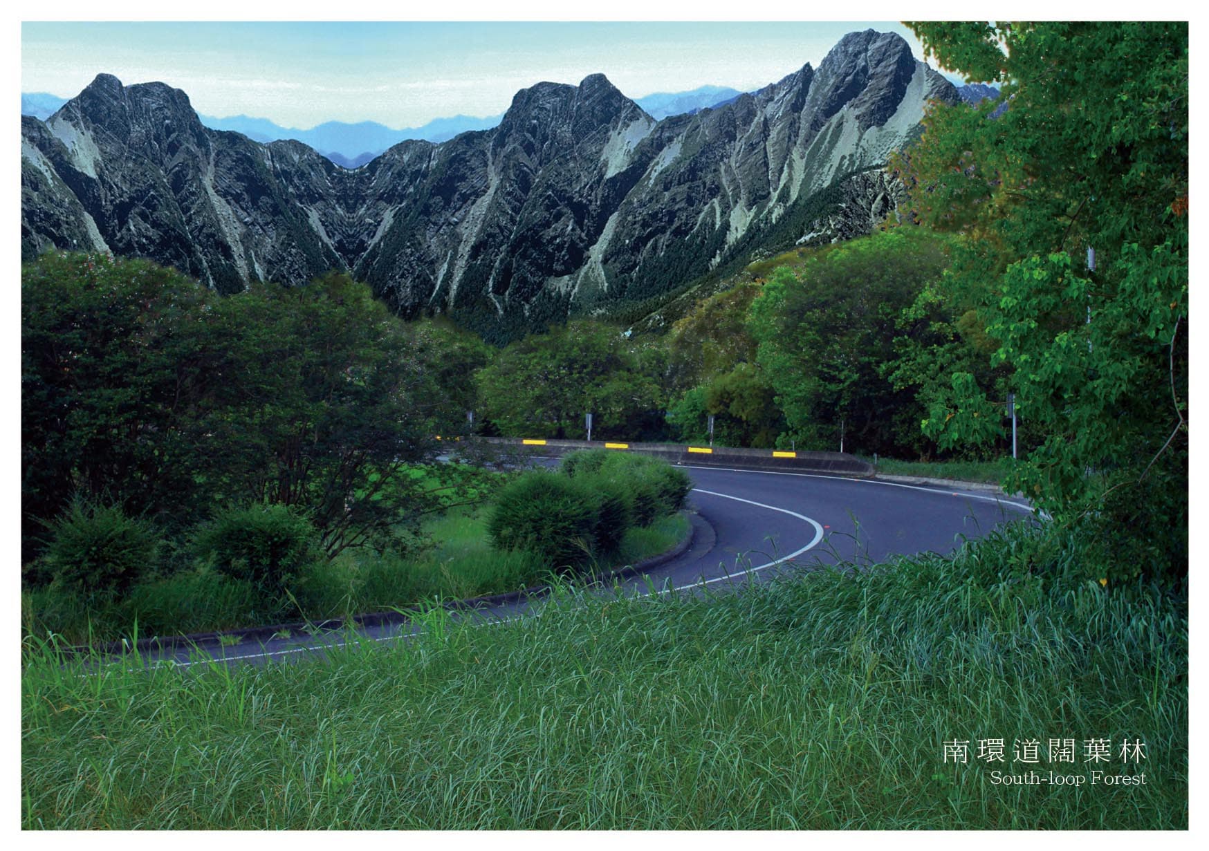 NF1NP_POSTCARD-Ver.1-南環道闊葉林