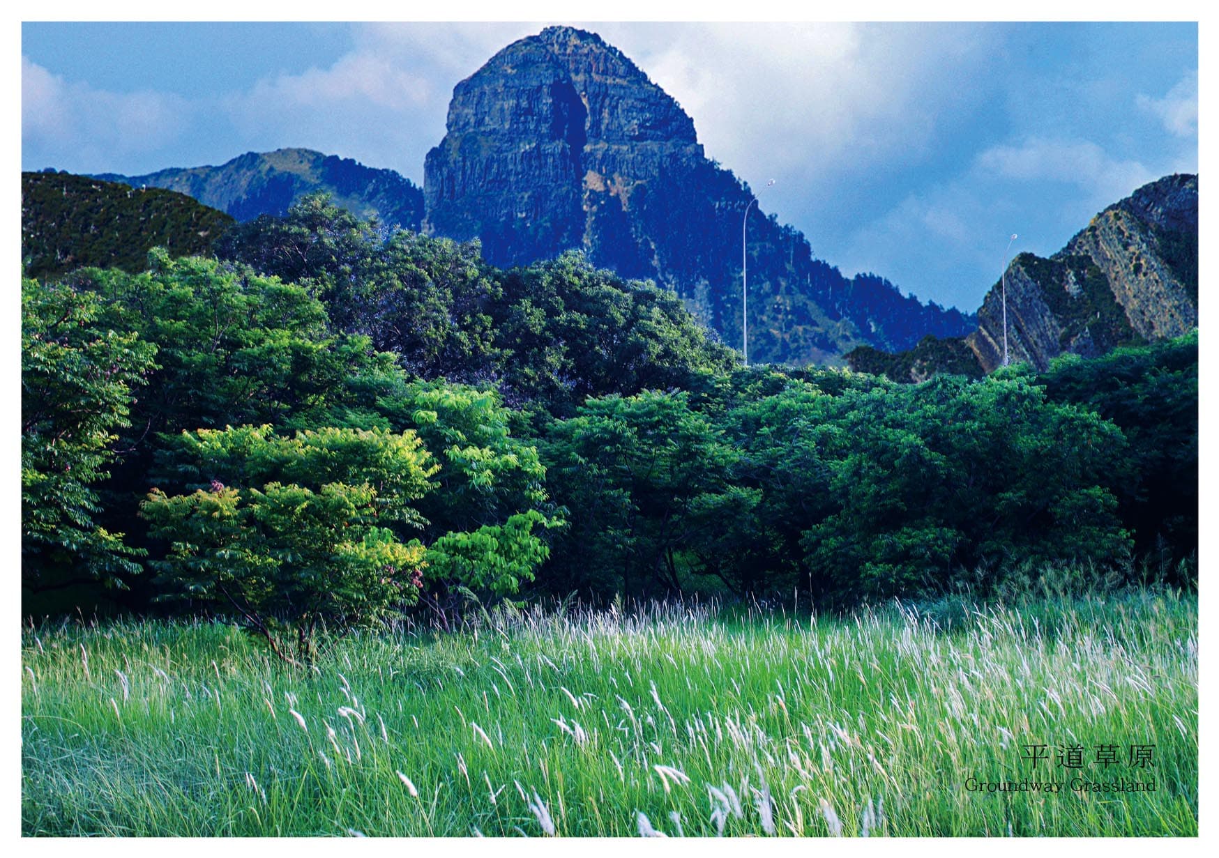 NF1NP_POSTCARD-Ver.5-平道草原