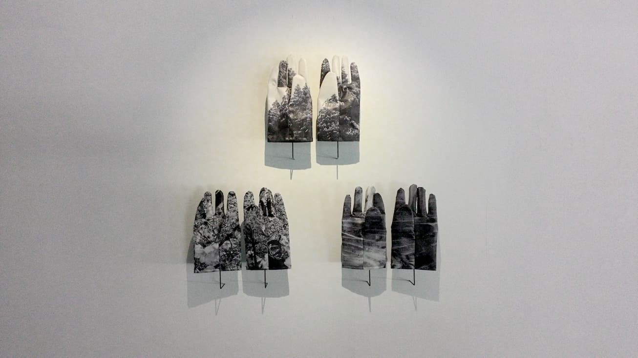 陽光普照的地方