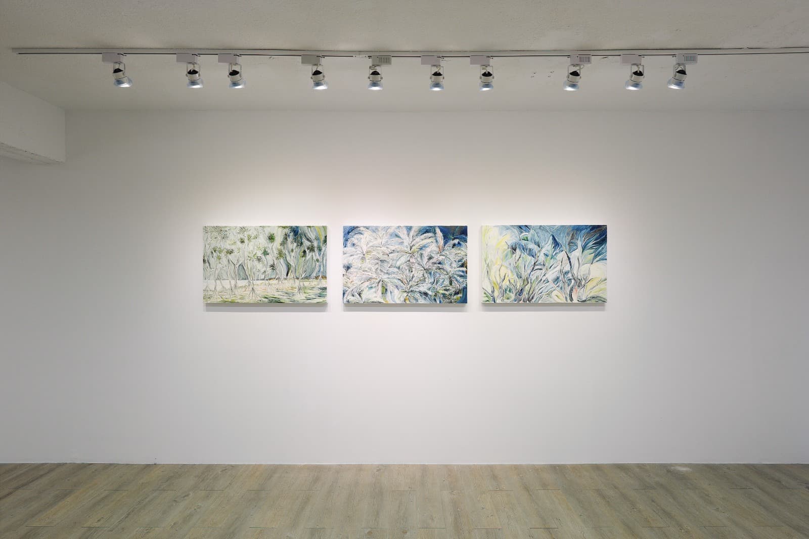 青鳥  個展現場