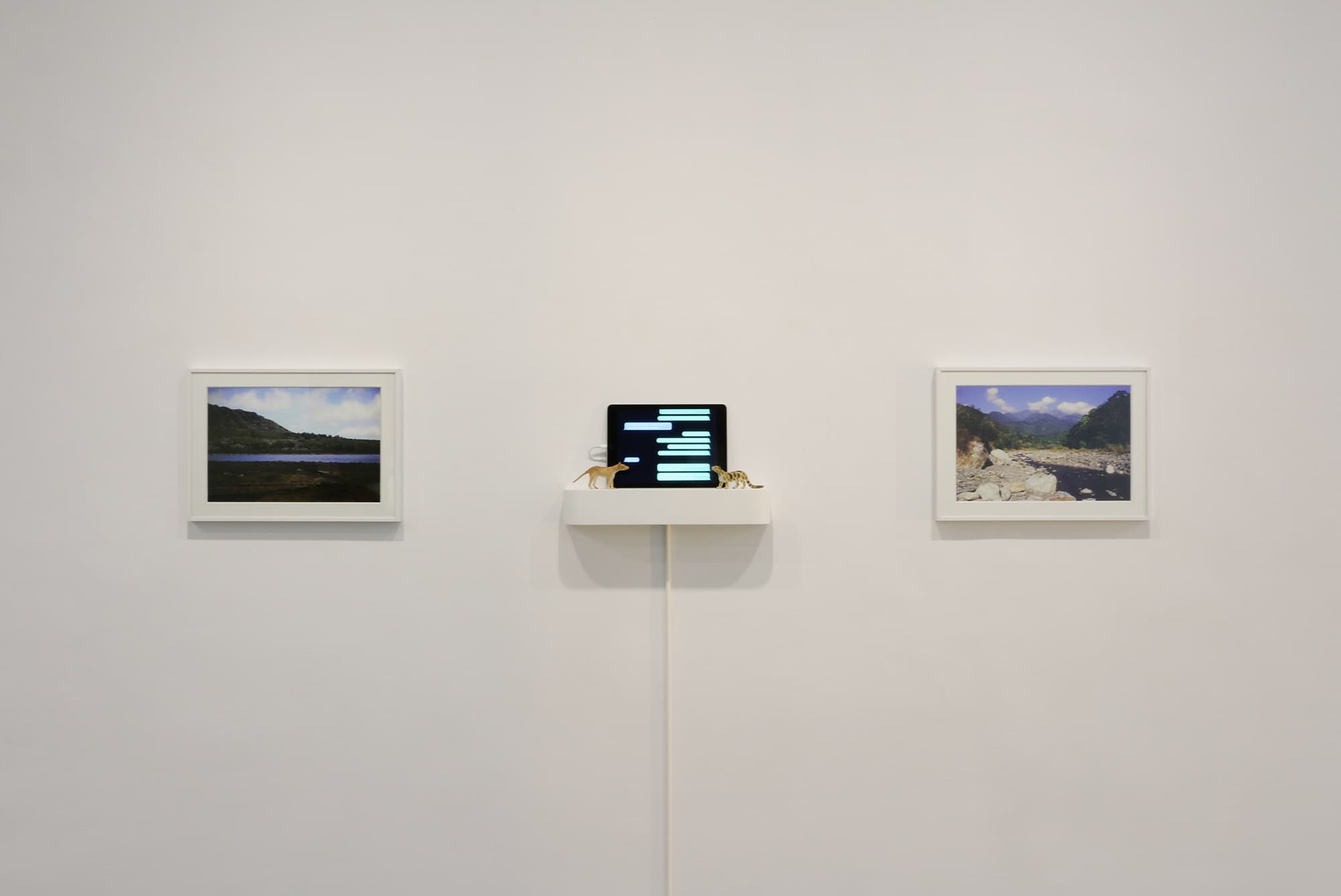 雲豹與袋狼的一場對話