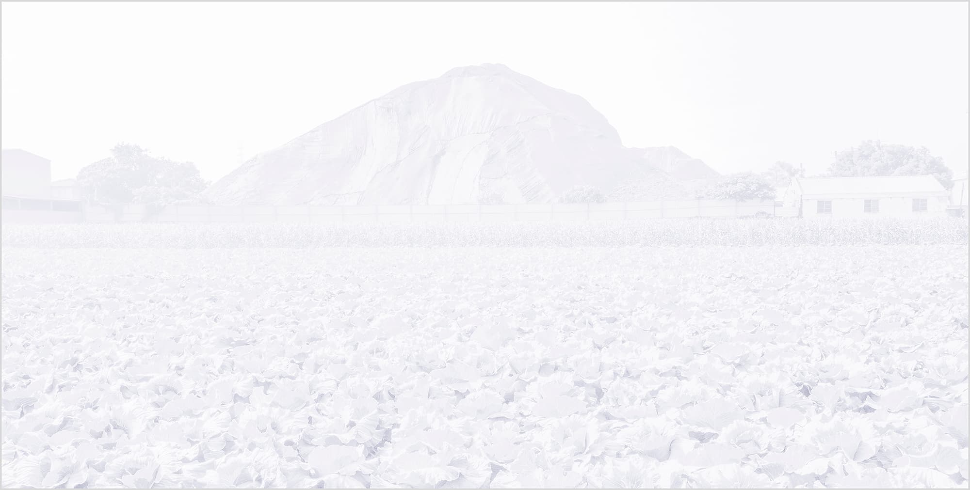 那些隱匿的風景