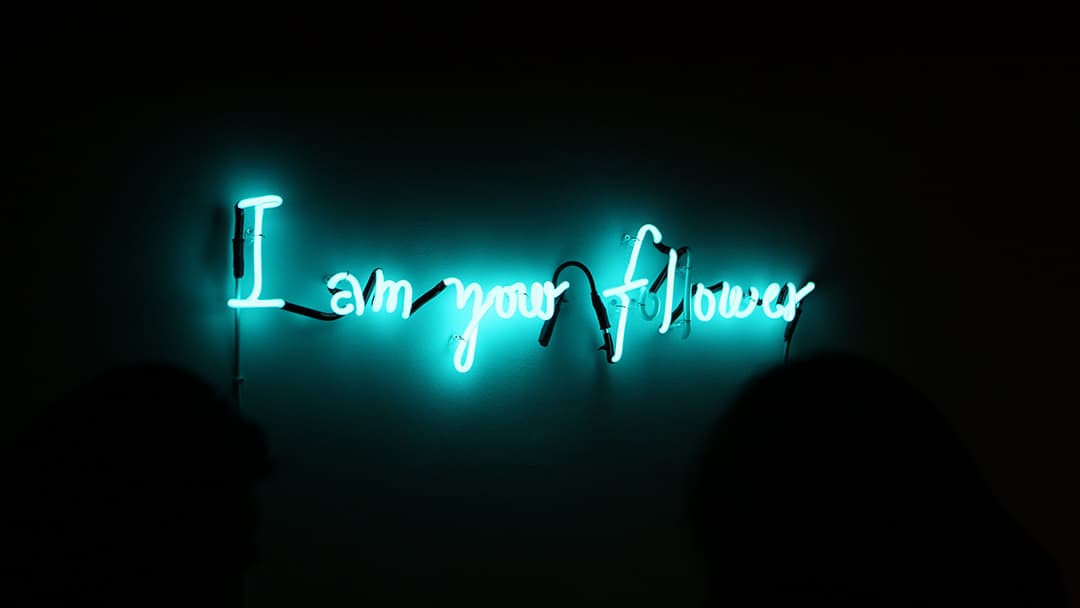 10.-i-am-your-follower-w1080