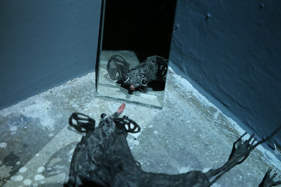 噢，我的老天鵝啊 ！