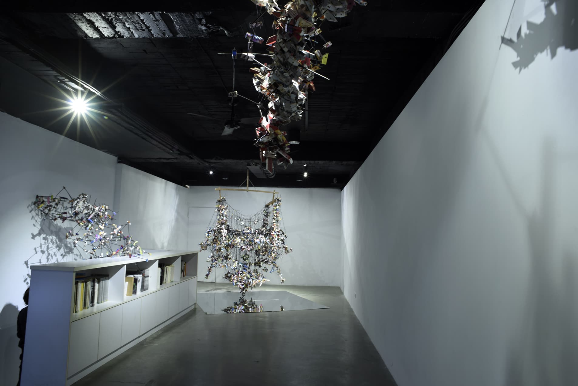 山寨─顯影和飛獸