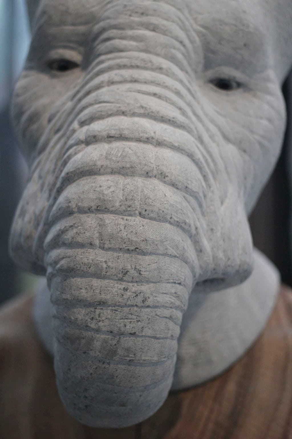 戴象面具的男人