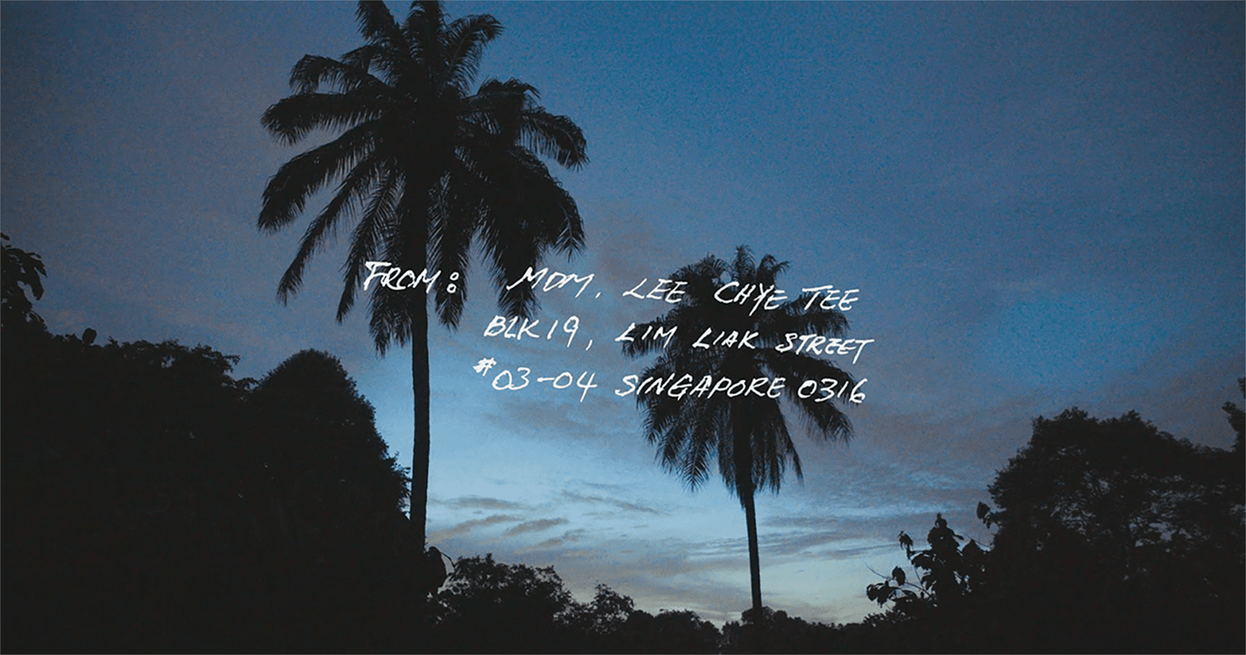 信使 II—永恆漫遊與熱帶追尋