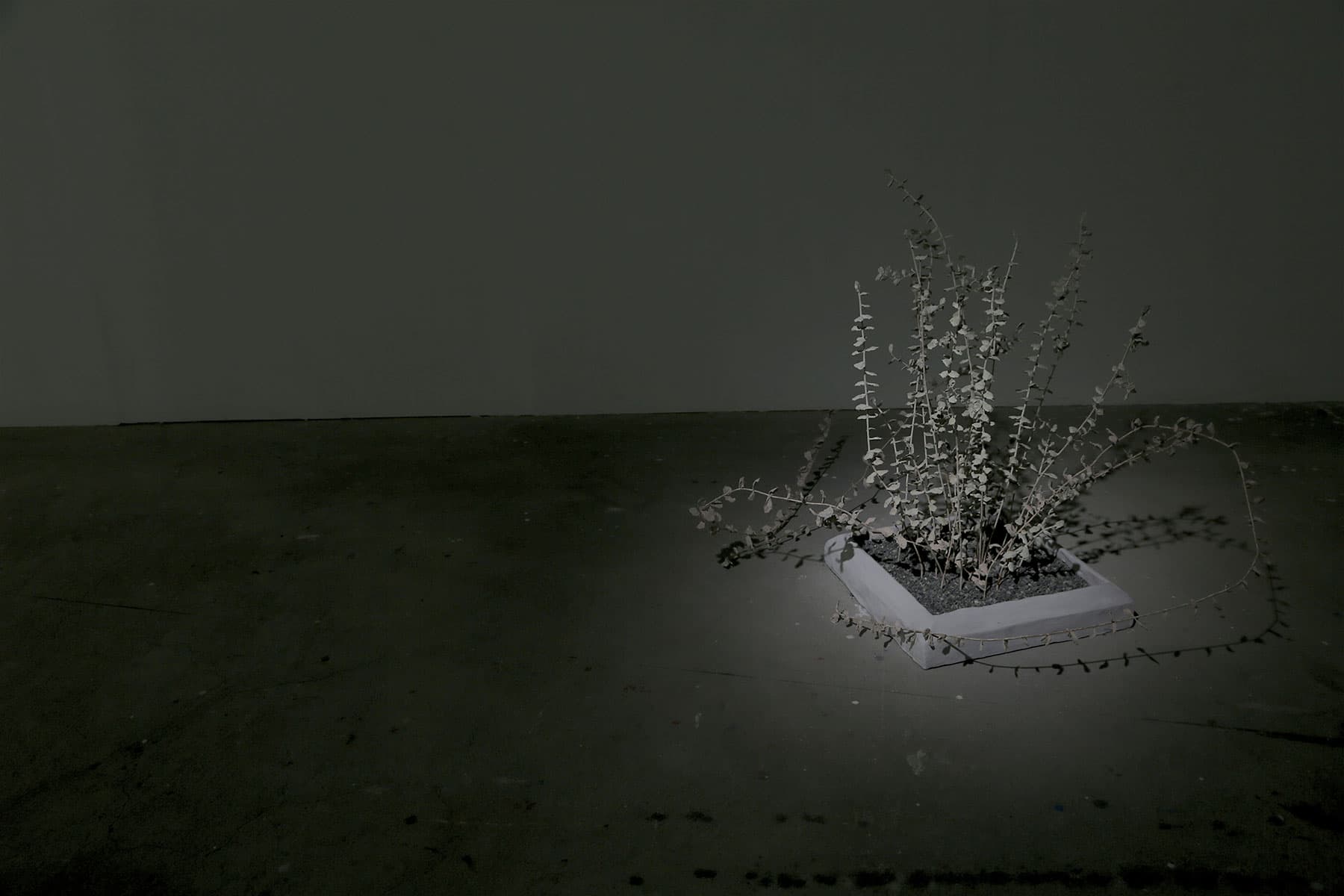 08-4.-Have-a-Good-Day-