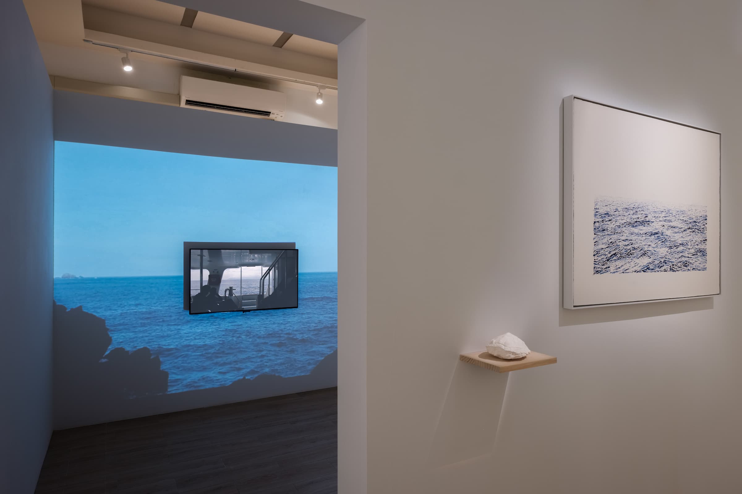 一隻龜和⋯⋯_5