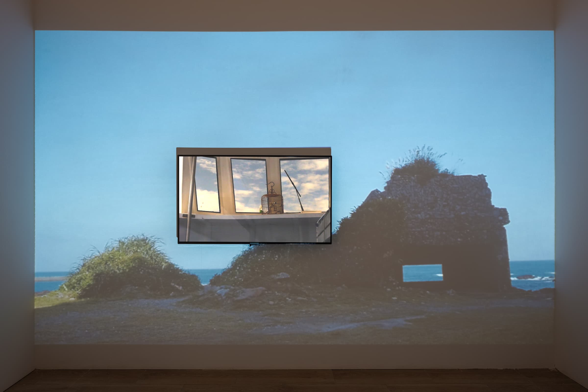 一隻龜和⋯⋯_6