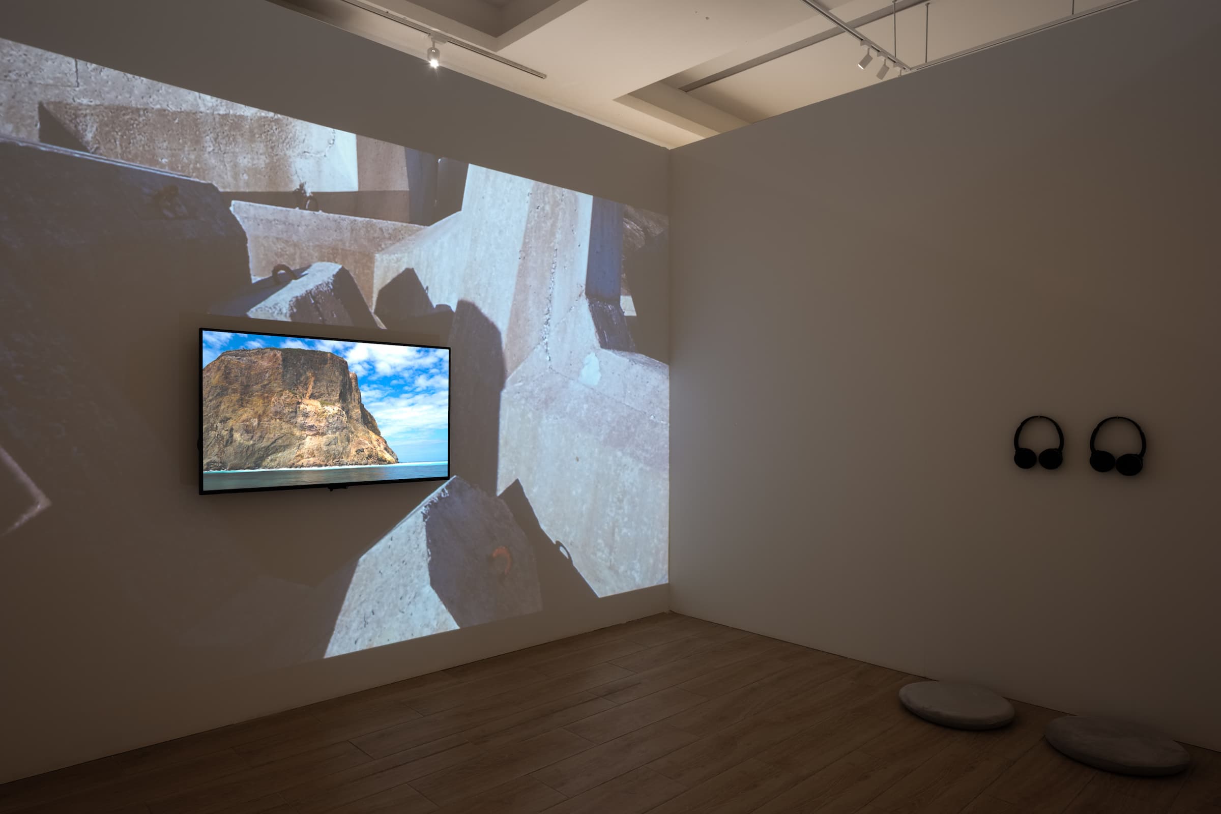 一隻龜和⋯⋯_7