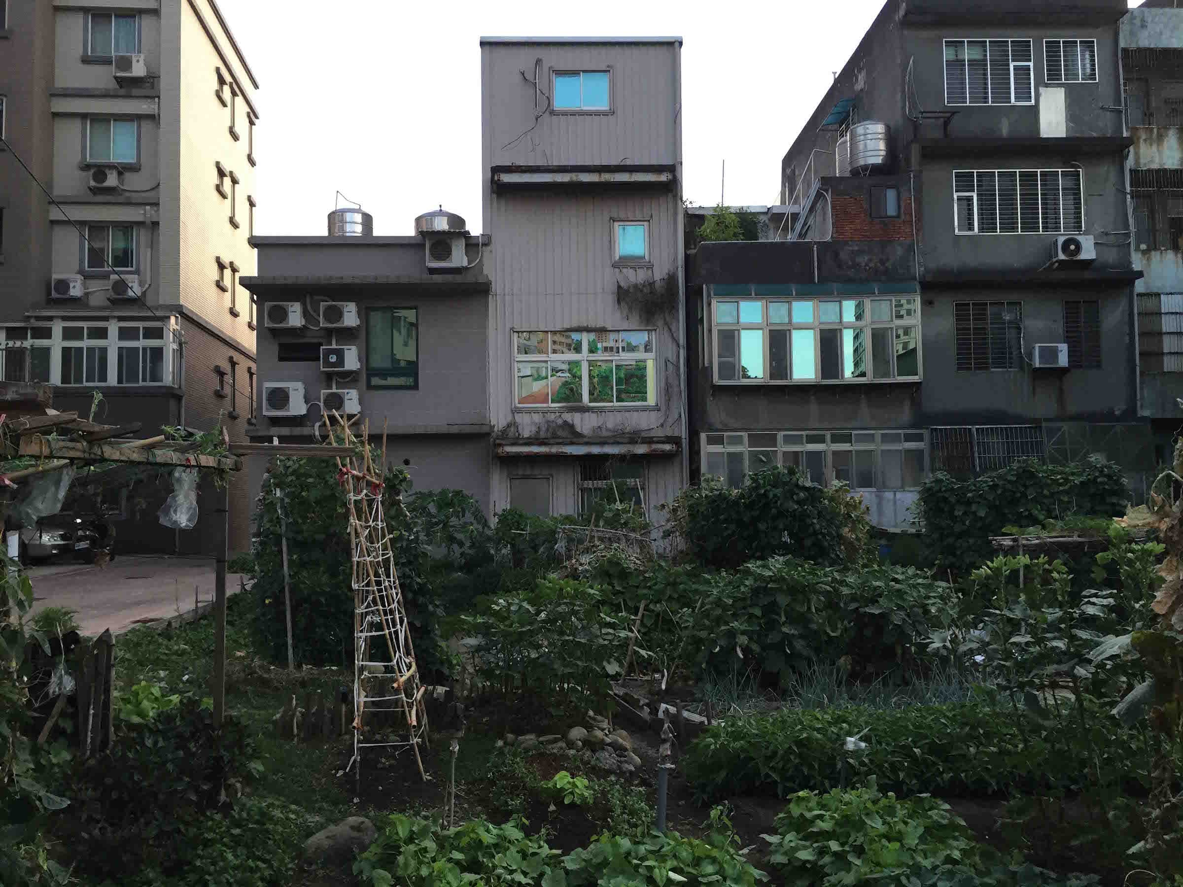 也許操場的對面什麼事也沒有發生但我心情愉快3