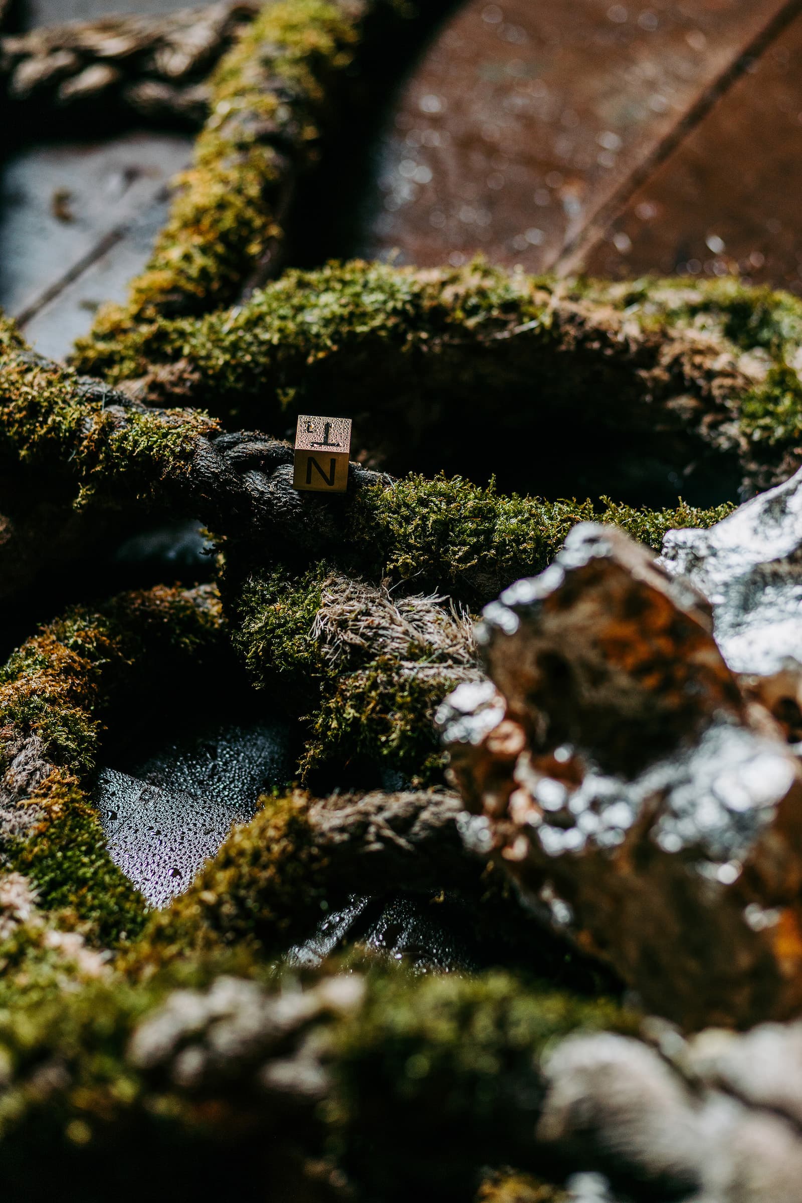 老軌、蟒蛇、隕石和-θ-波_8