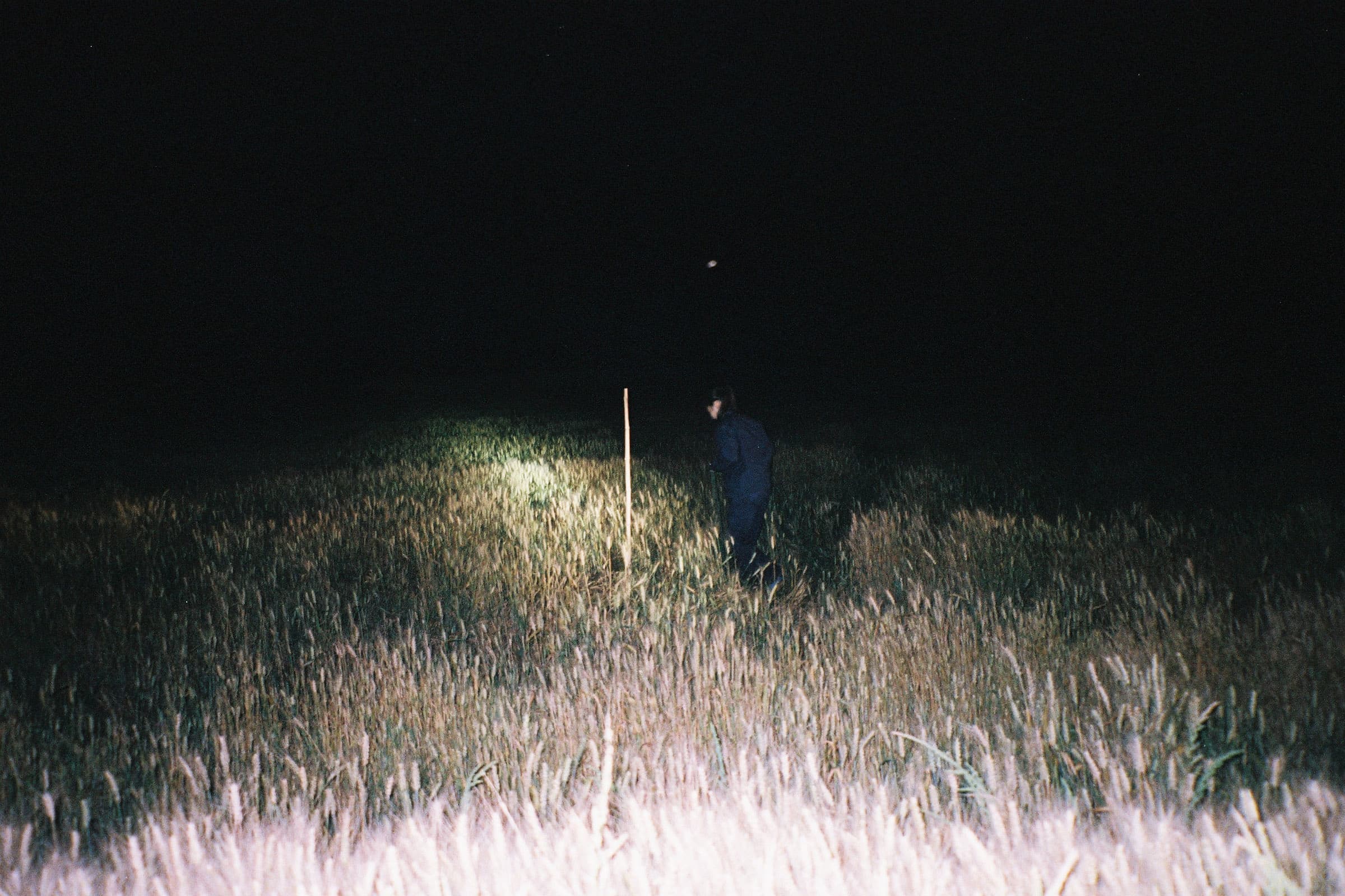 趨近於理想價值_3