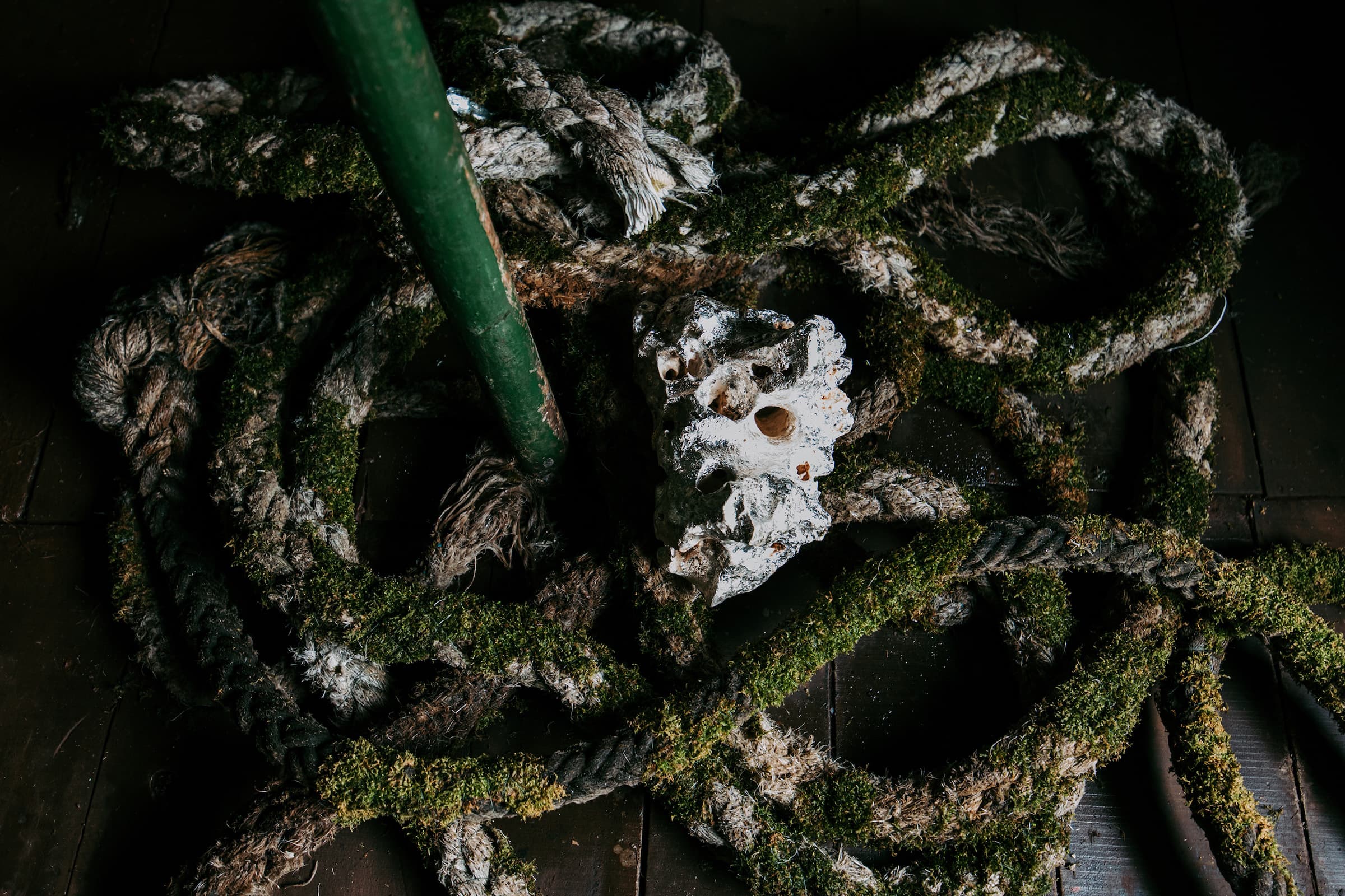 老軌、蟒蛇、隕石和-θ-波_7