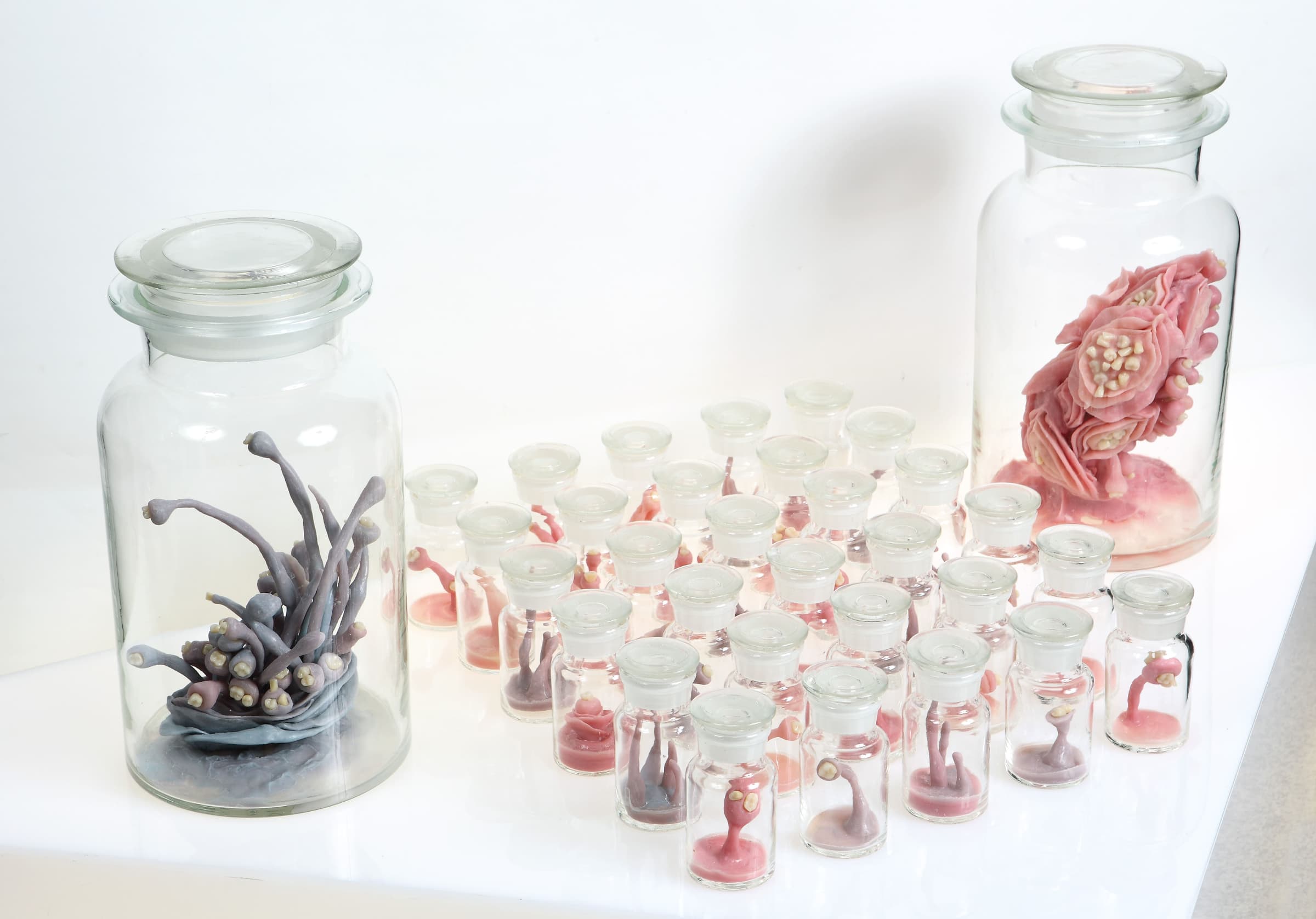 補綴物的有機擬態