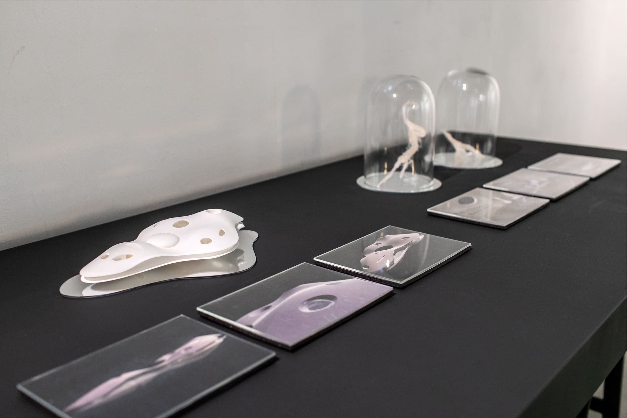 Farming_the_Future_6725