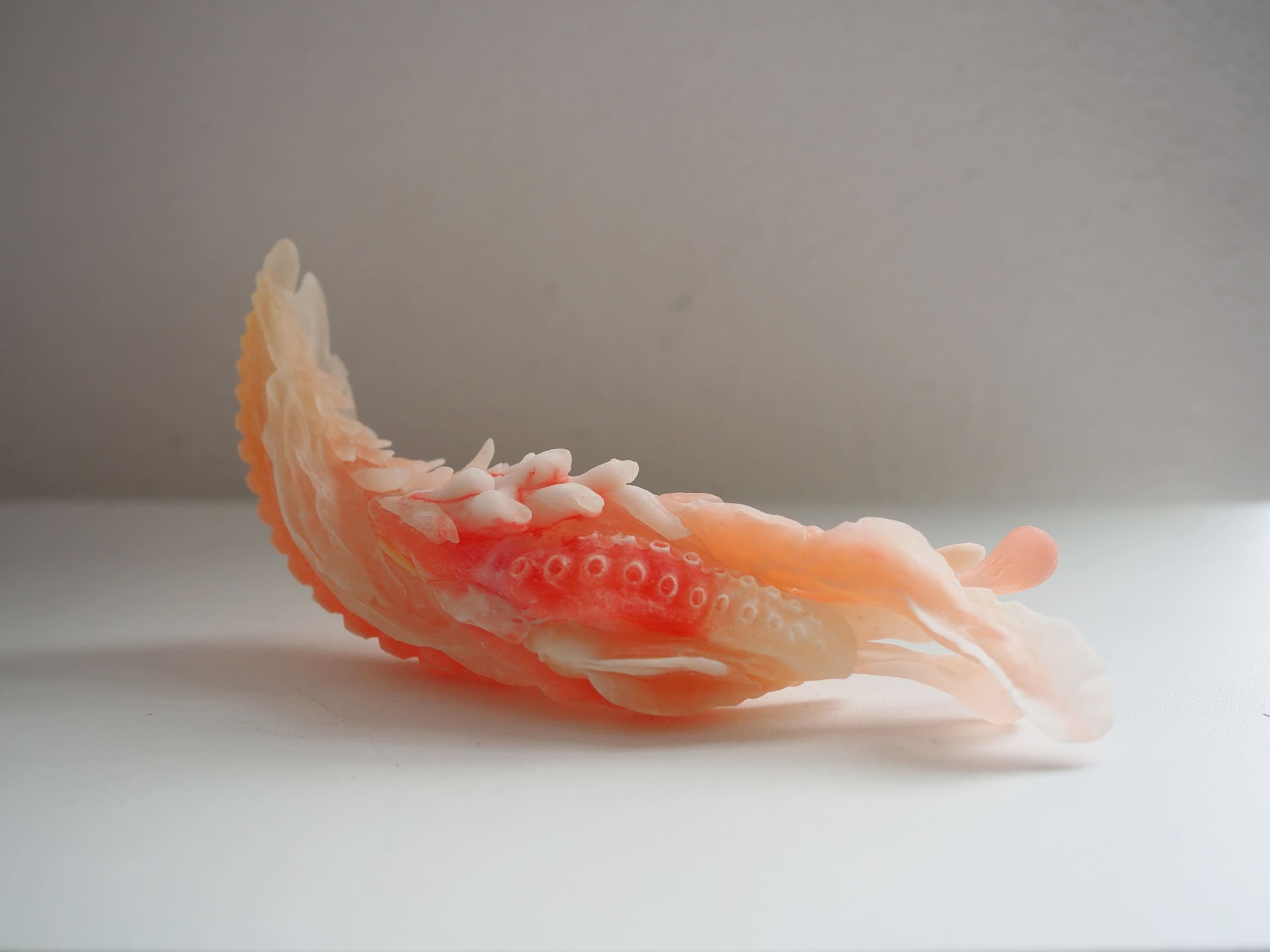 Tiger-Penis-Project-2