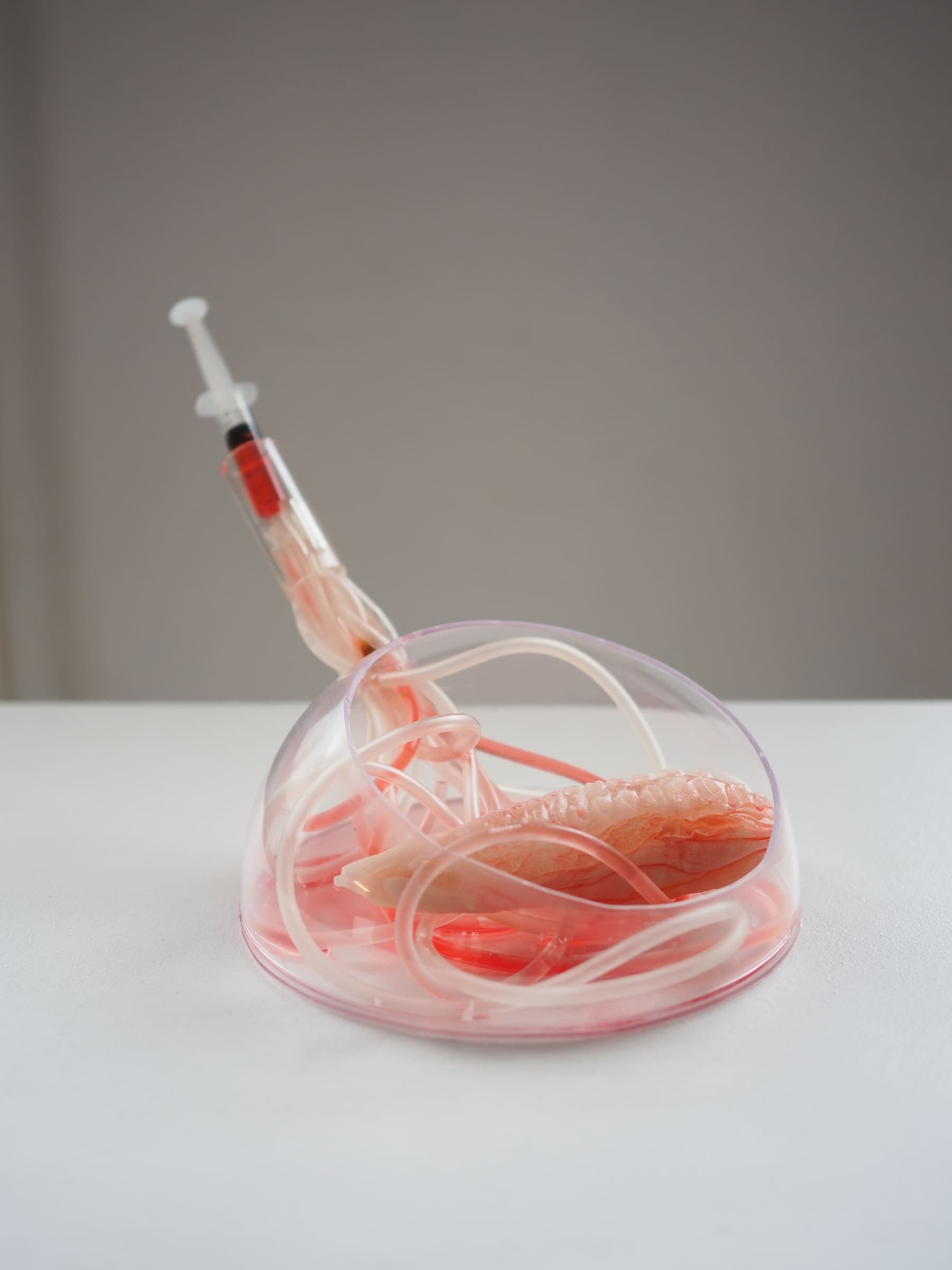 Tiger-Penis-Project-3