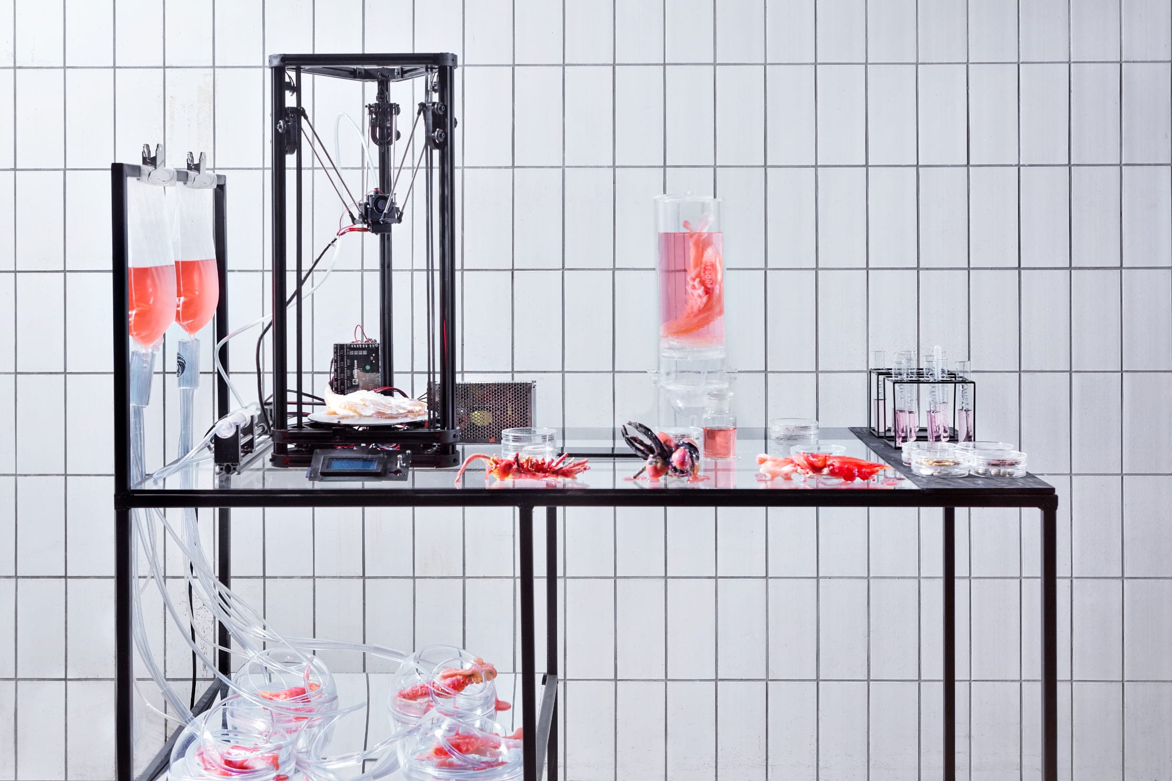 Tiger-Penis-Project-5