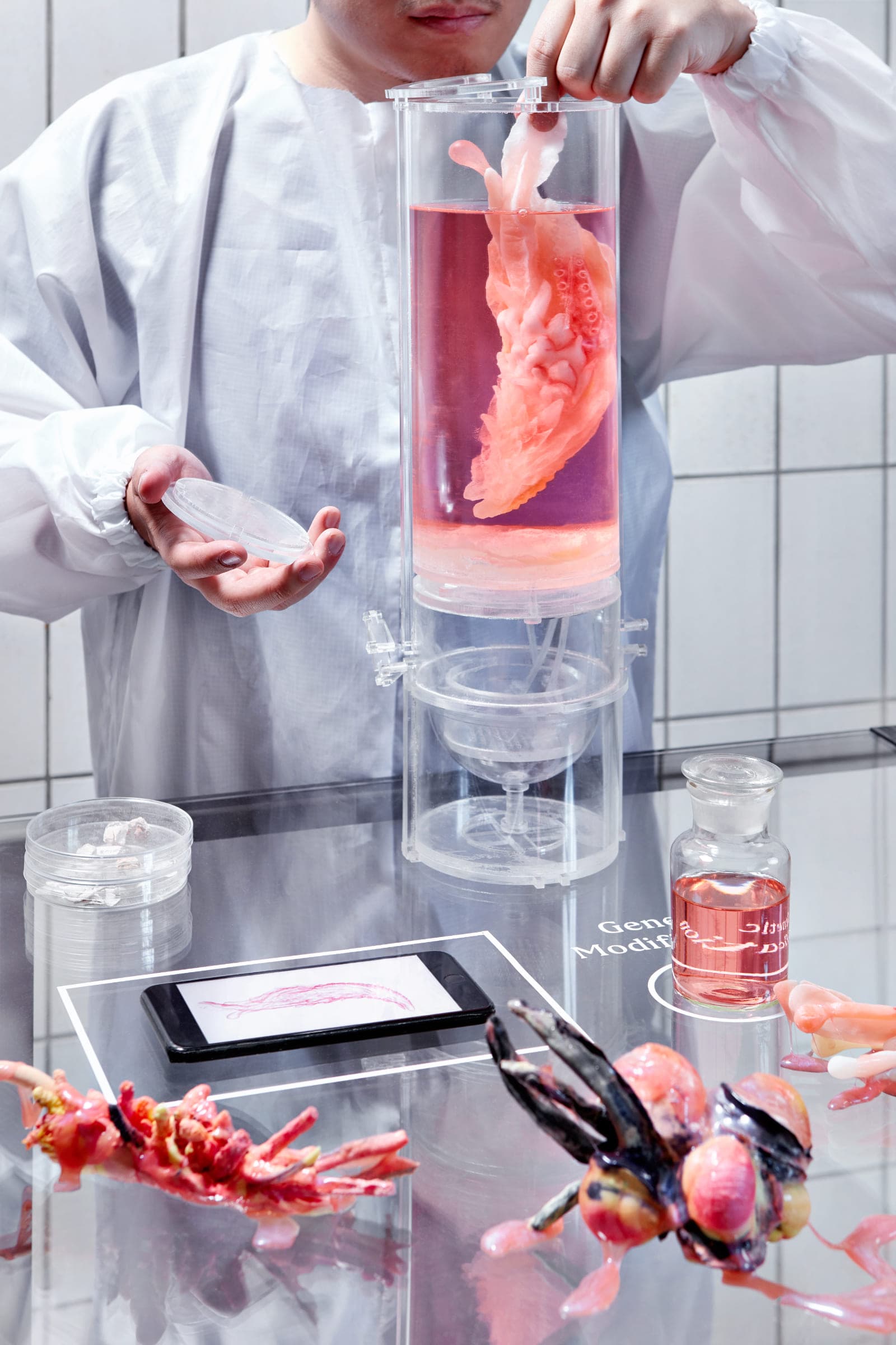 Tiger-Penis-Project-6