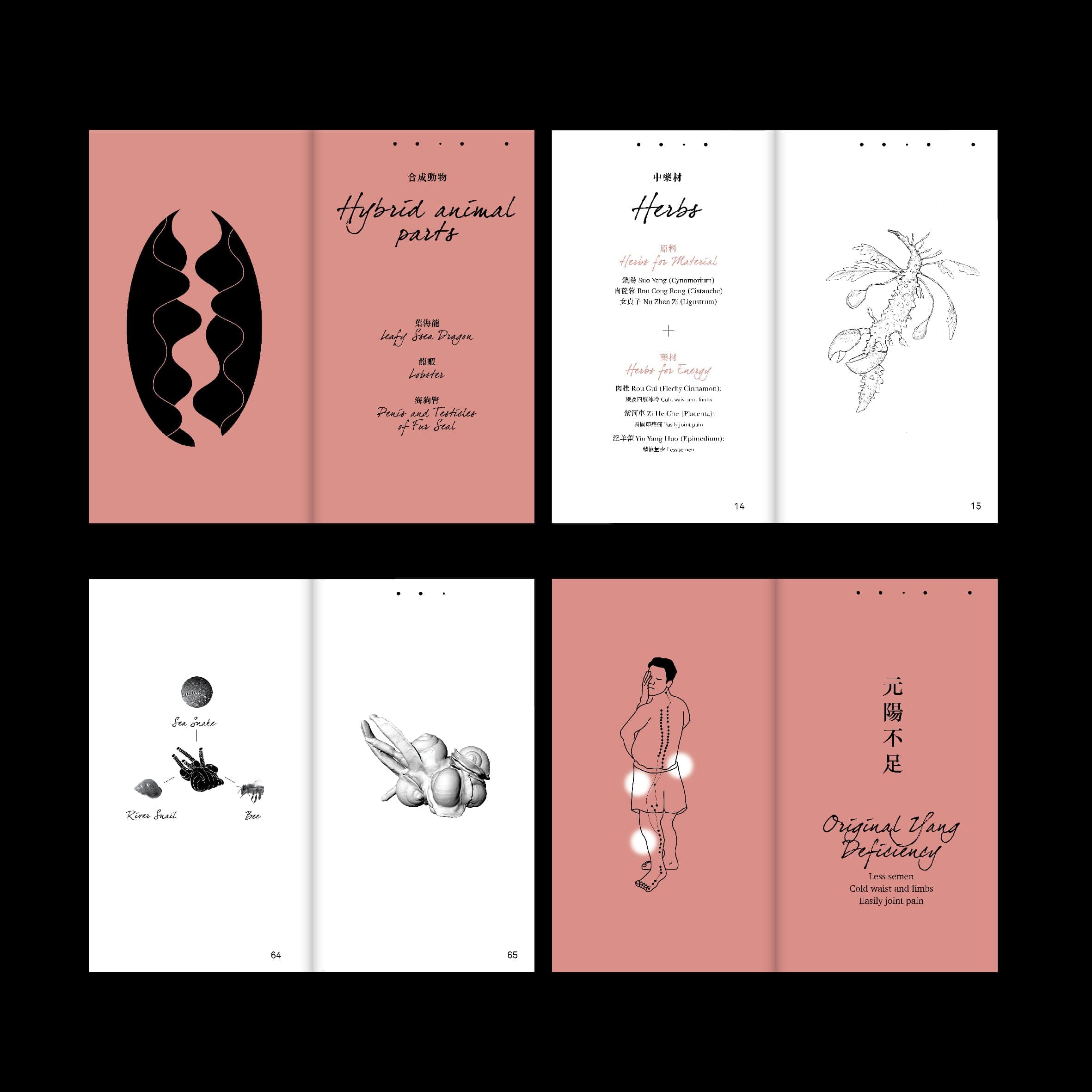 Tiger-Penis-Project-9