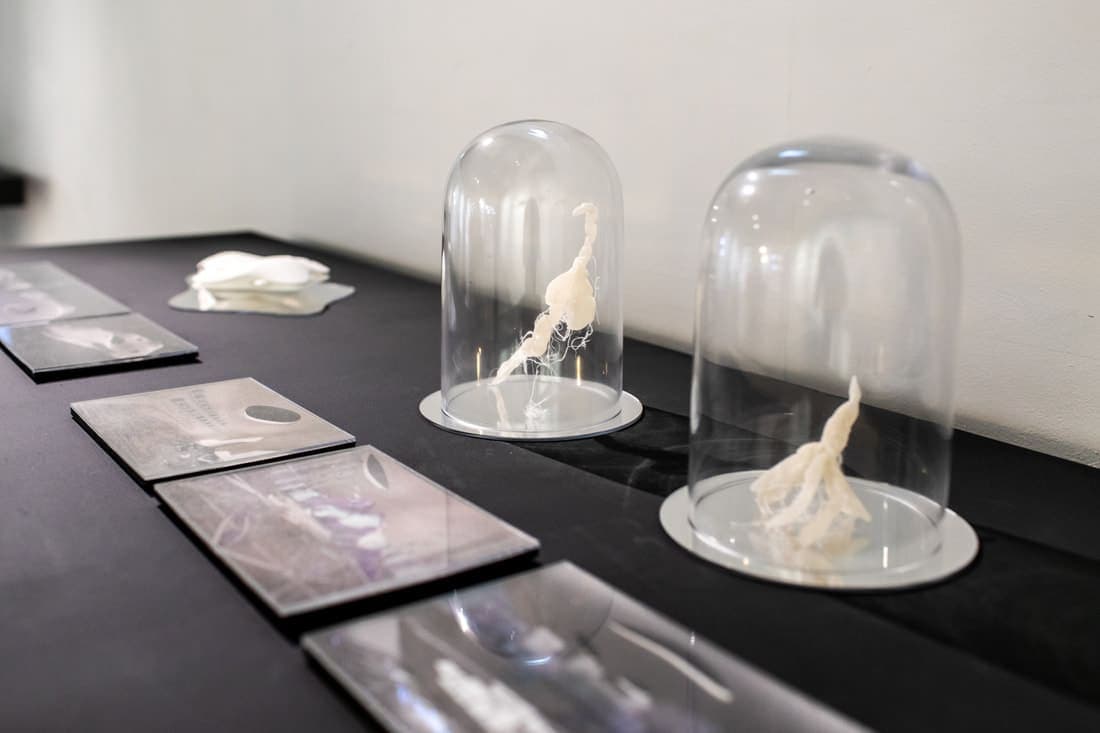 farming-the-future-6719_orig