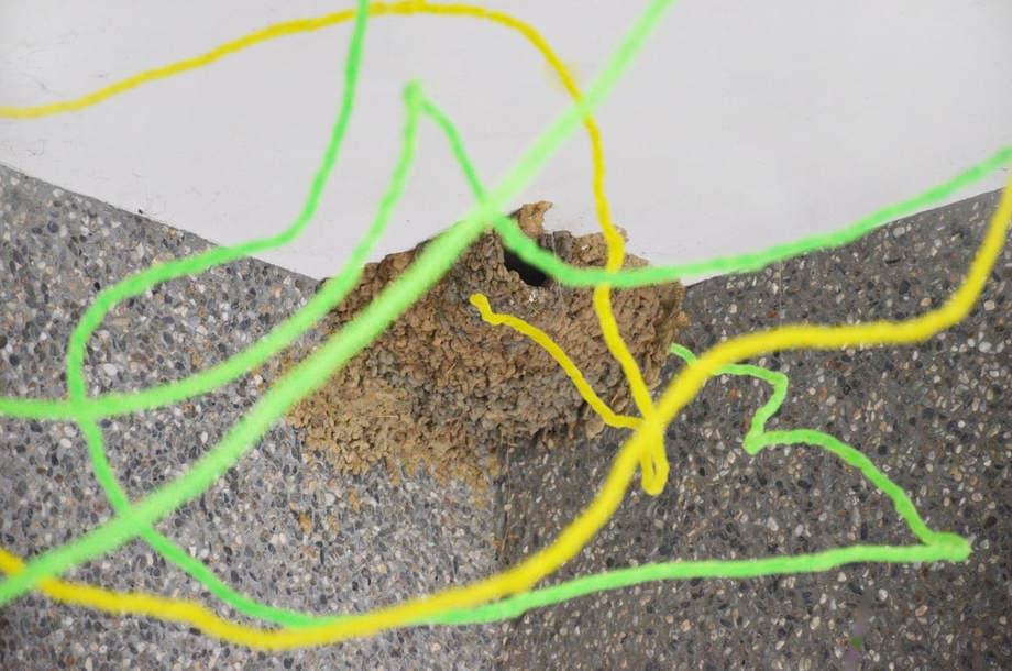 我是一隻小小鳥