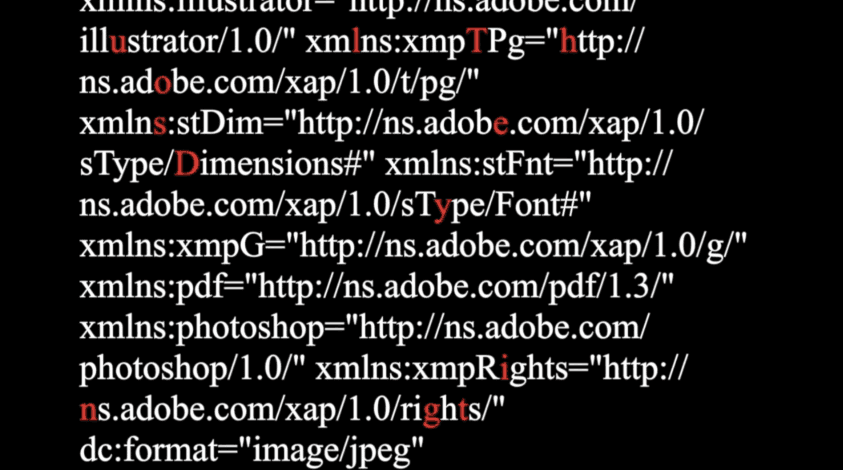 The Dialogue Between Words and Images :  Emily Dickinson