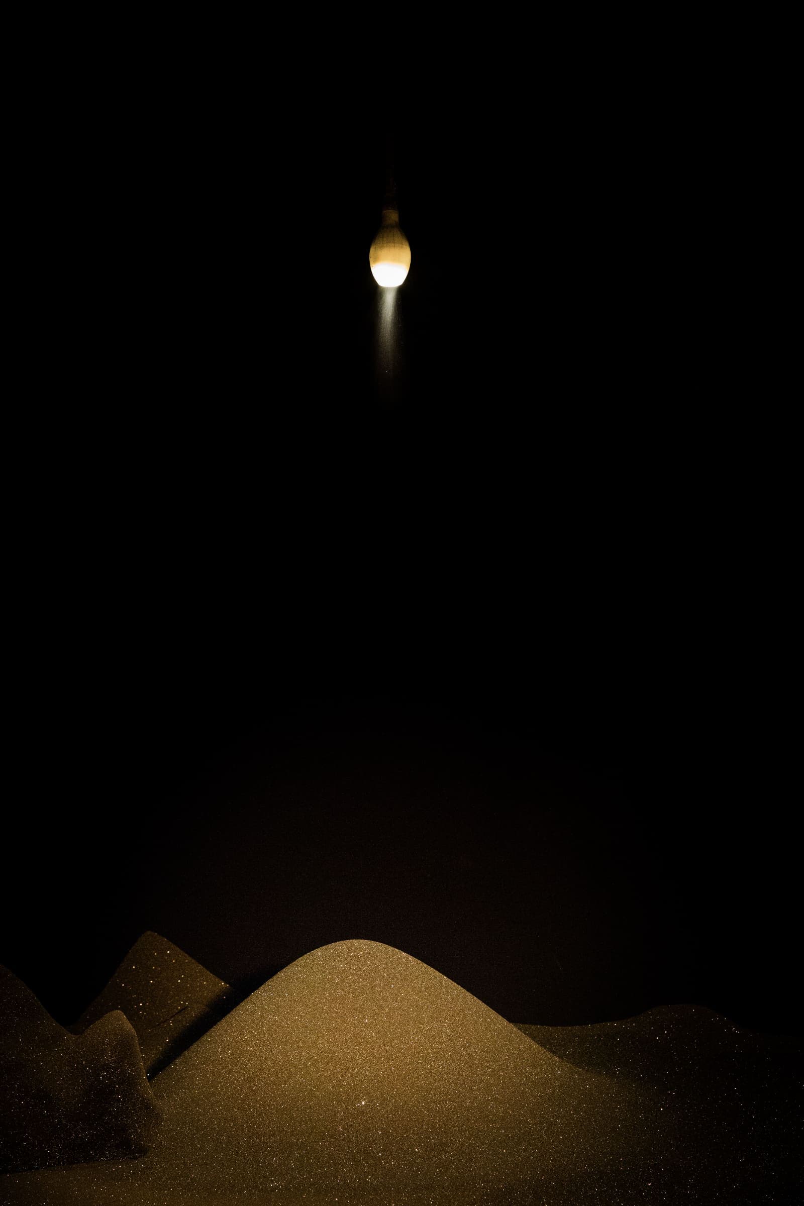 BGS_2007_2015_TFAM-2