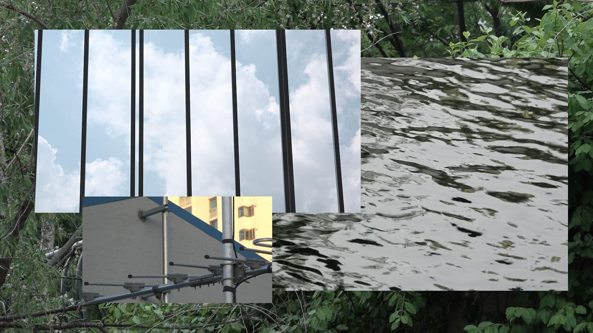 VaporEquilibrium.still08