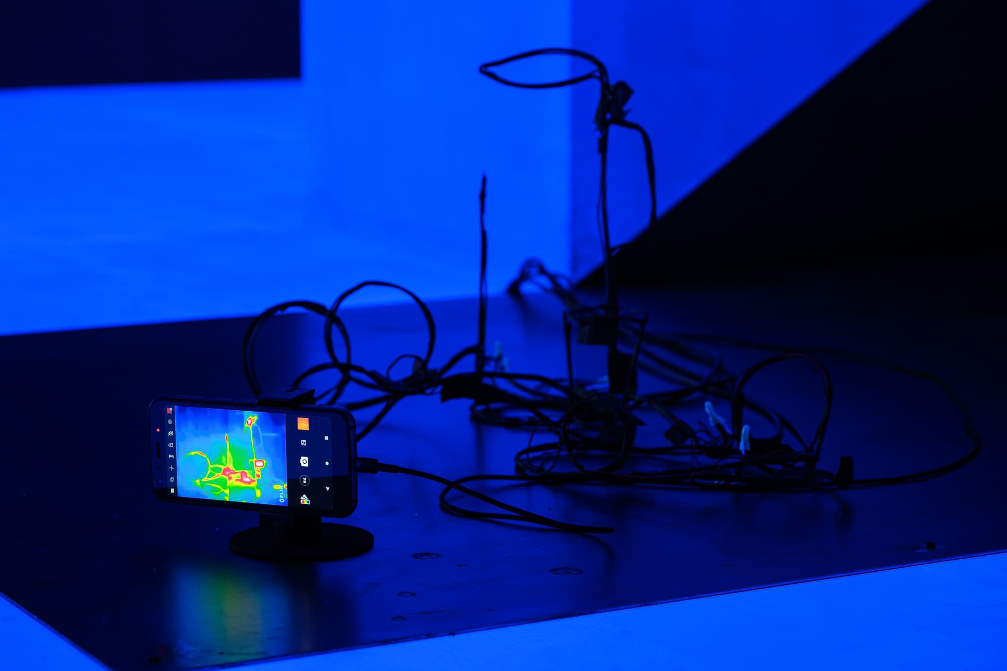 20220706_Fever-Screen_0176_Small