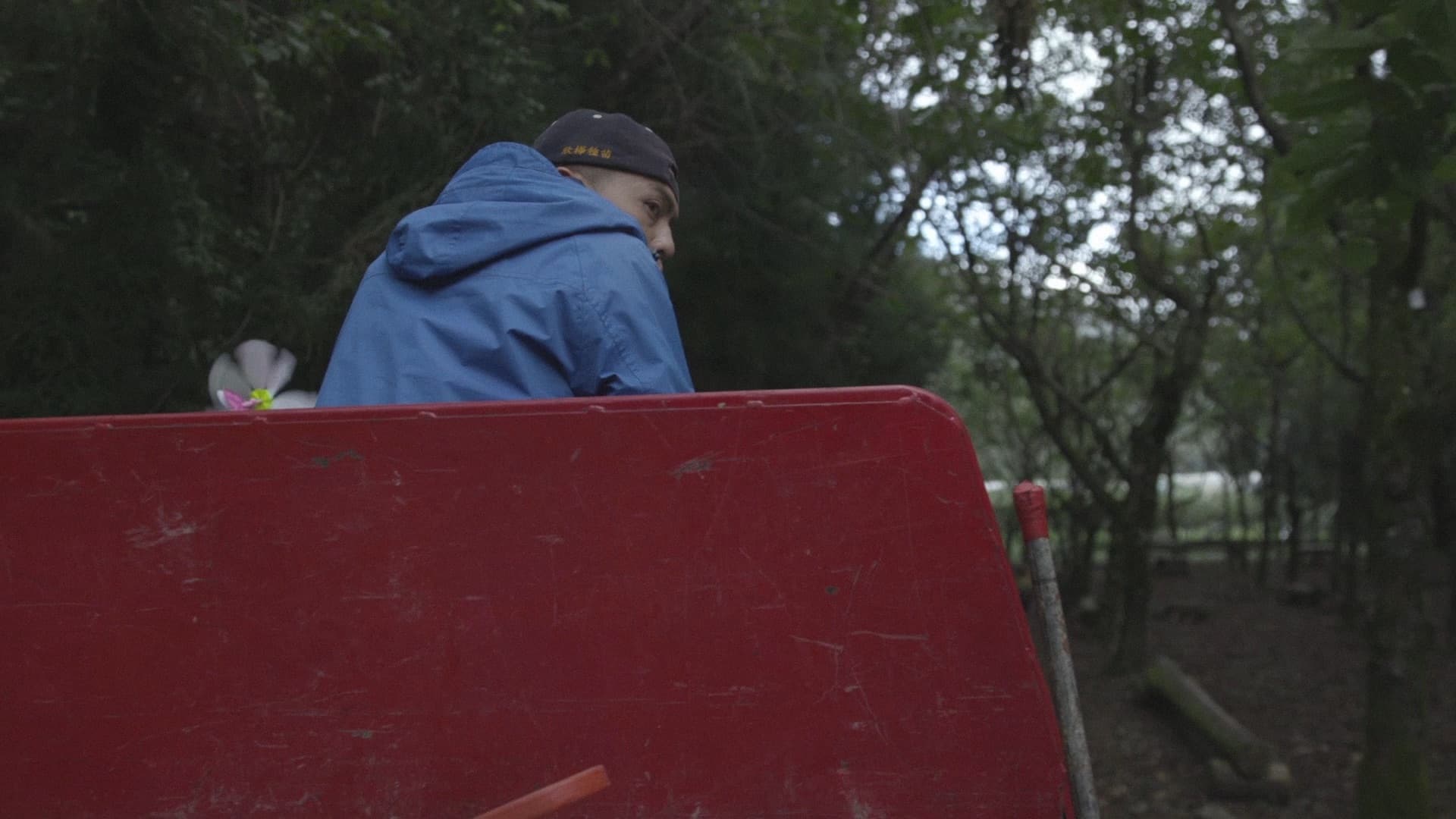 塔塔加的回憶哈林影格