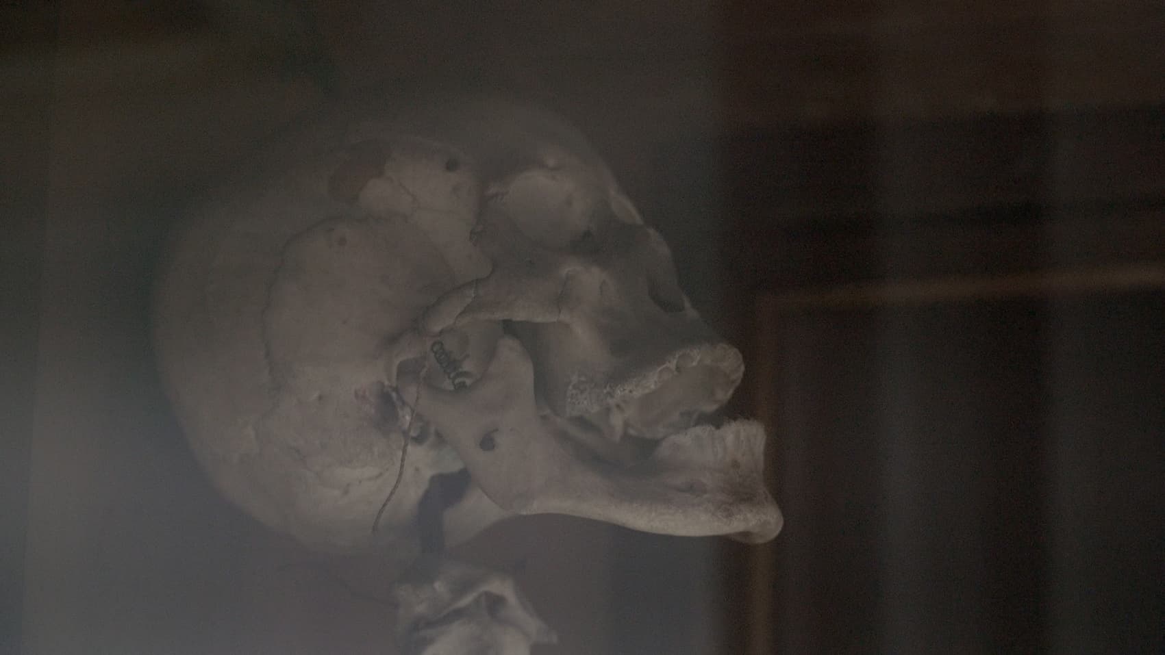 不在研究室的標本錄像截圖-二中人骨標本