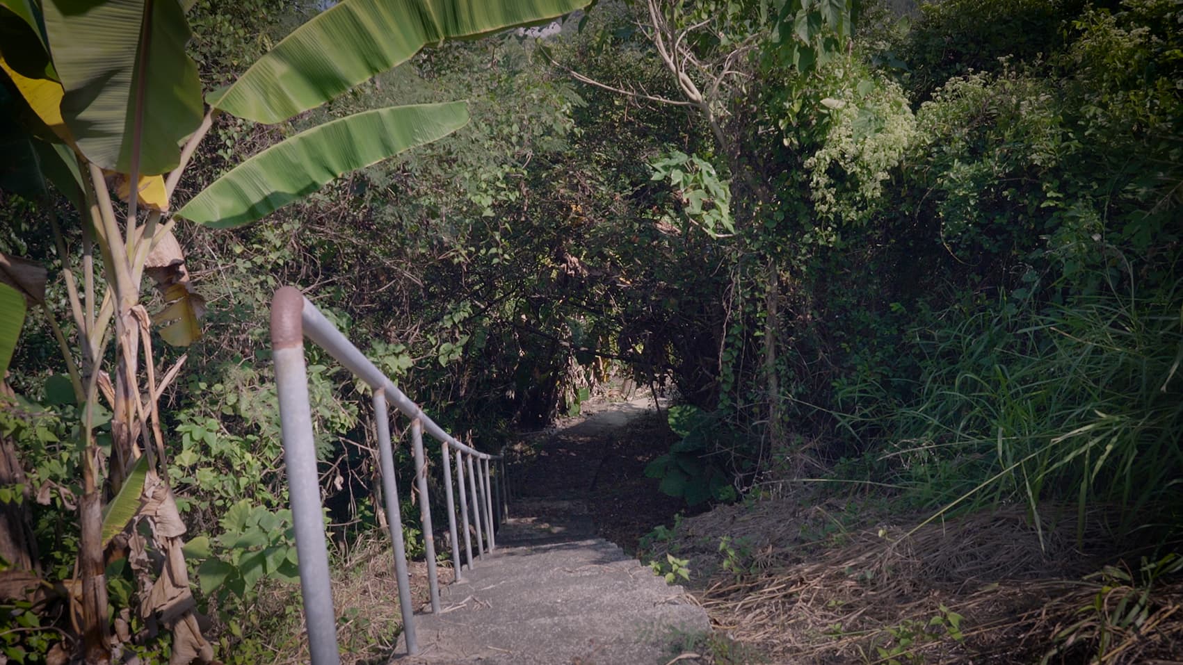 不在研究室的標本錄像截圖-前往岡林萬善祠