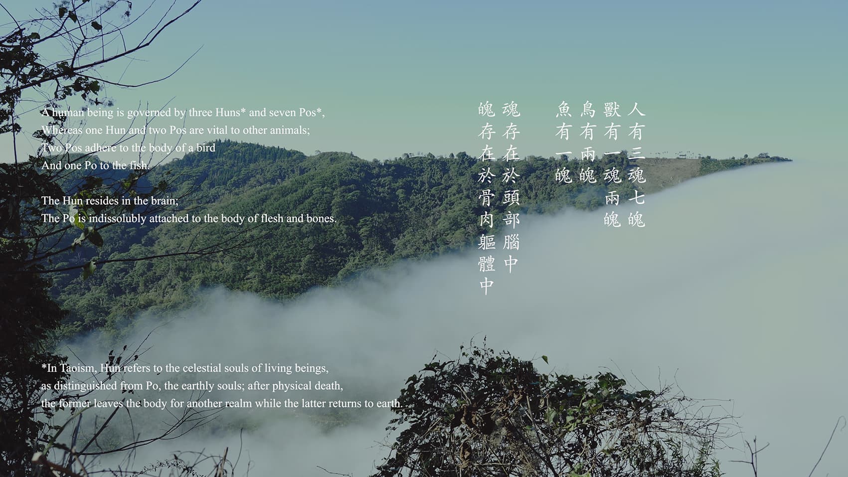 在海拔2000公尺震動