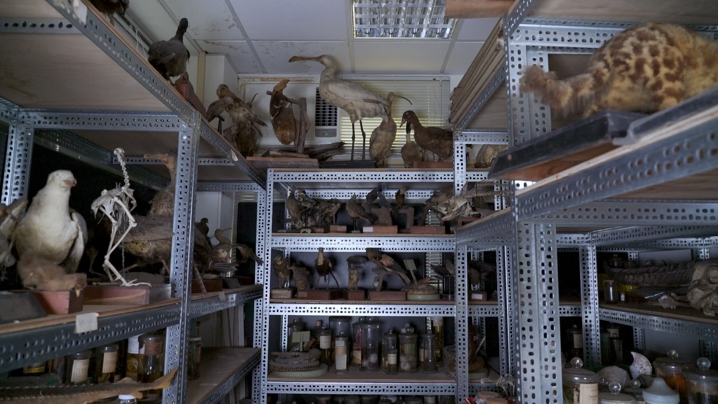 2在海拔200公尺震動錄像截圖2