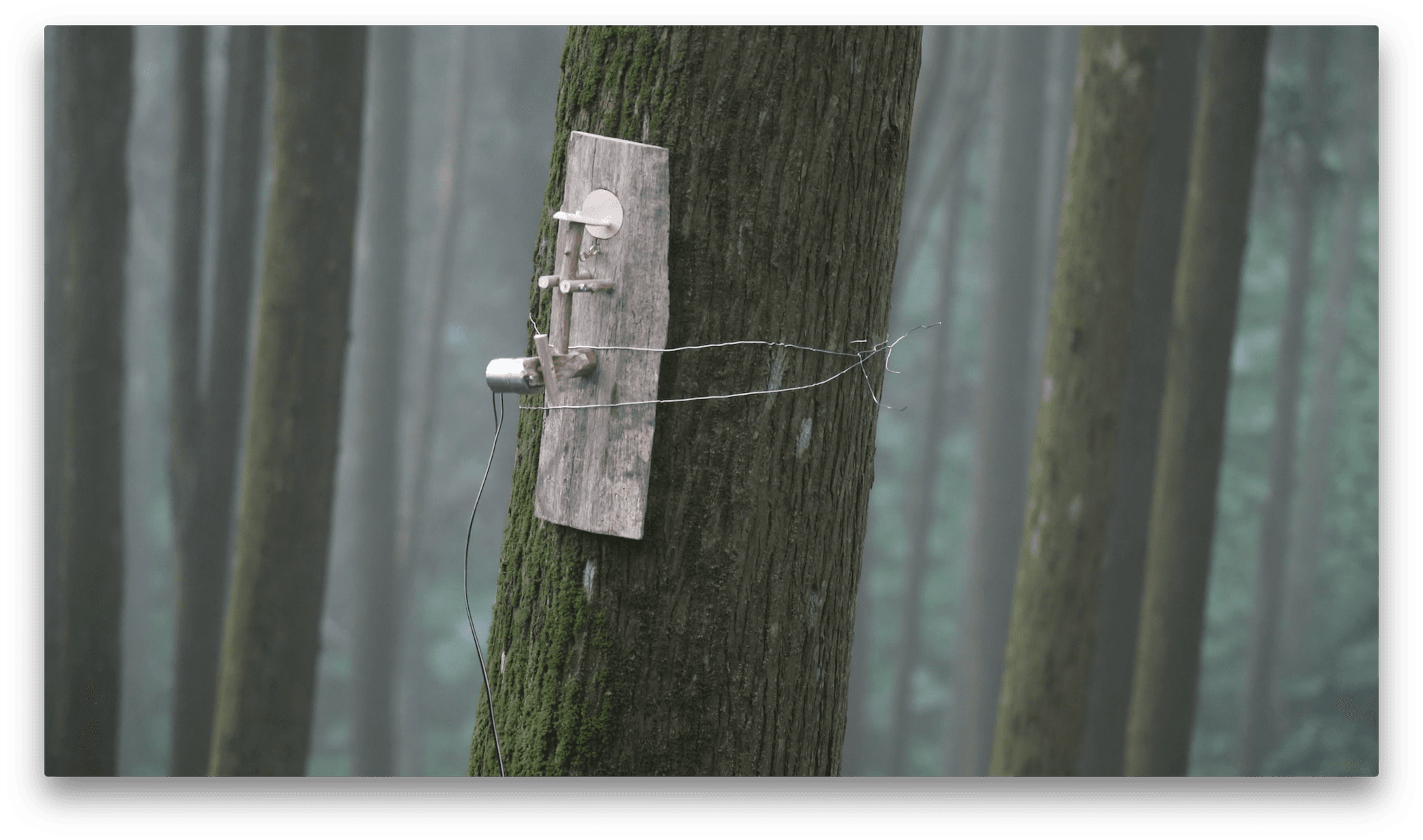 3在海拔200公尺震動錄像截圖3