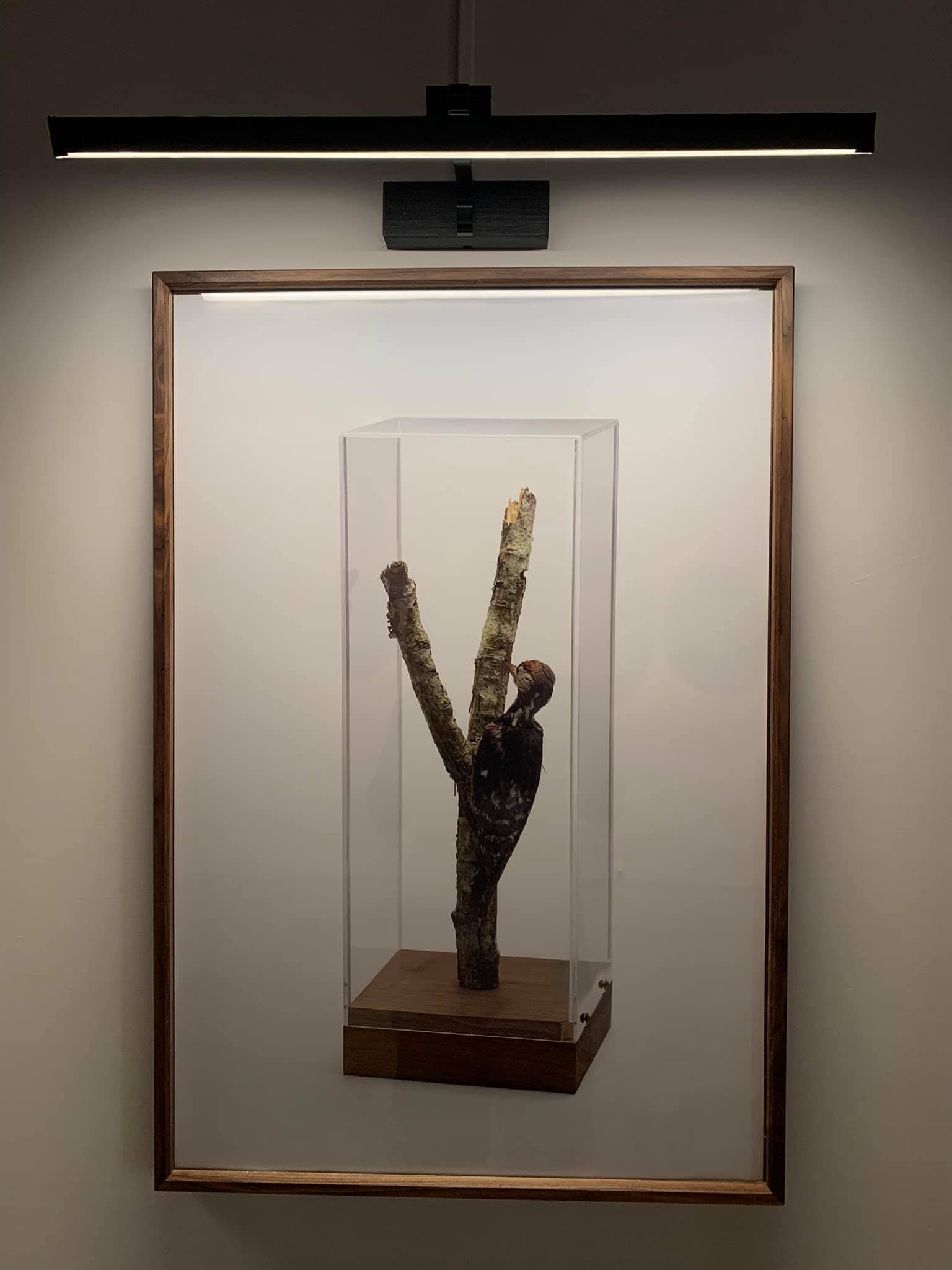 7在海拔2000公尺震動攝影作品2