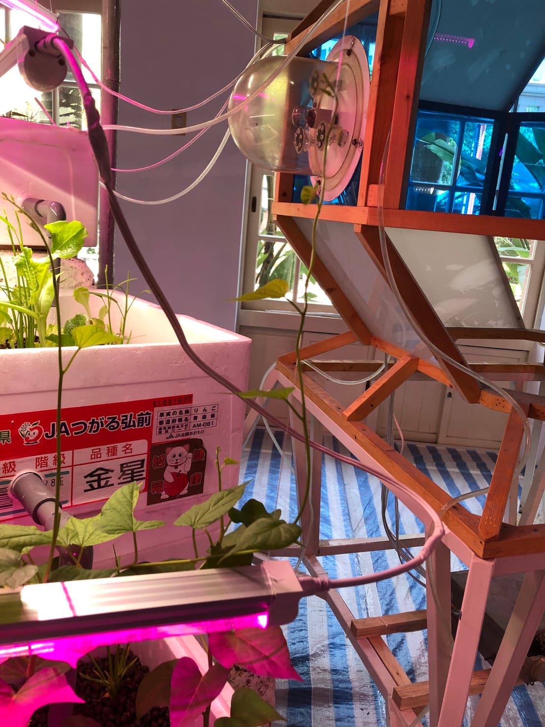 更新檔2.1a-在一片荒蕪的海洋中漫漫