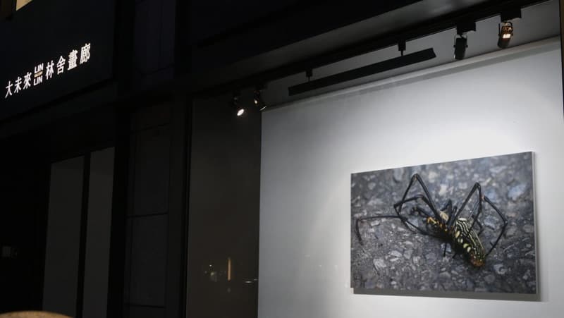 平行的世界- 畫內音 4