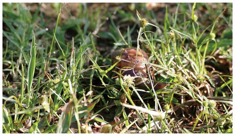 平行的世界- 畫內音 1