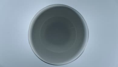 still-life-still-pic-05