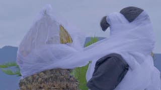 2023_Multispecies realities 13