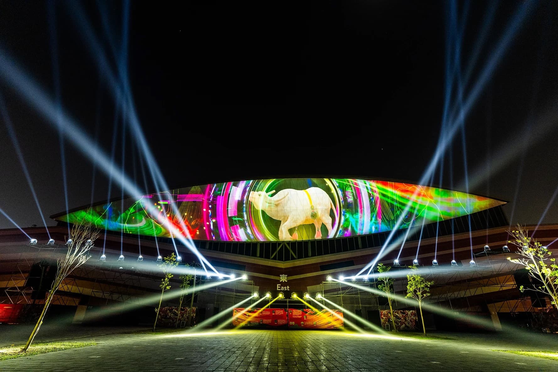 2024 靈動的目光 (2)