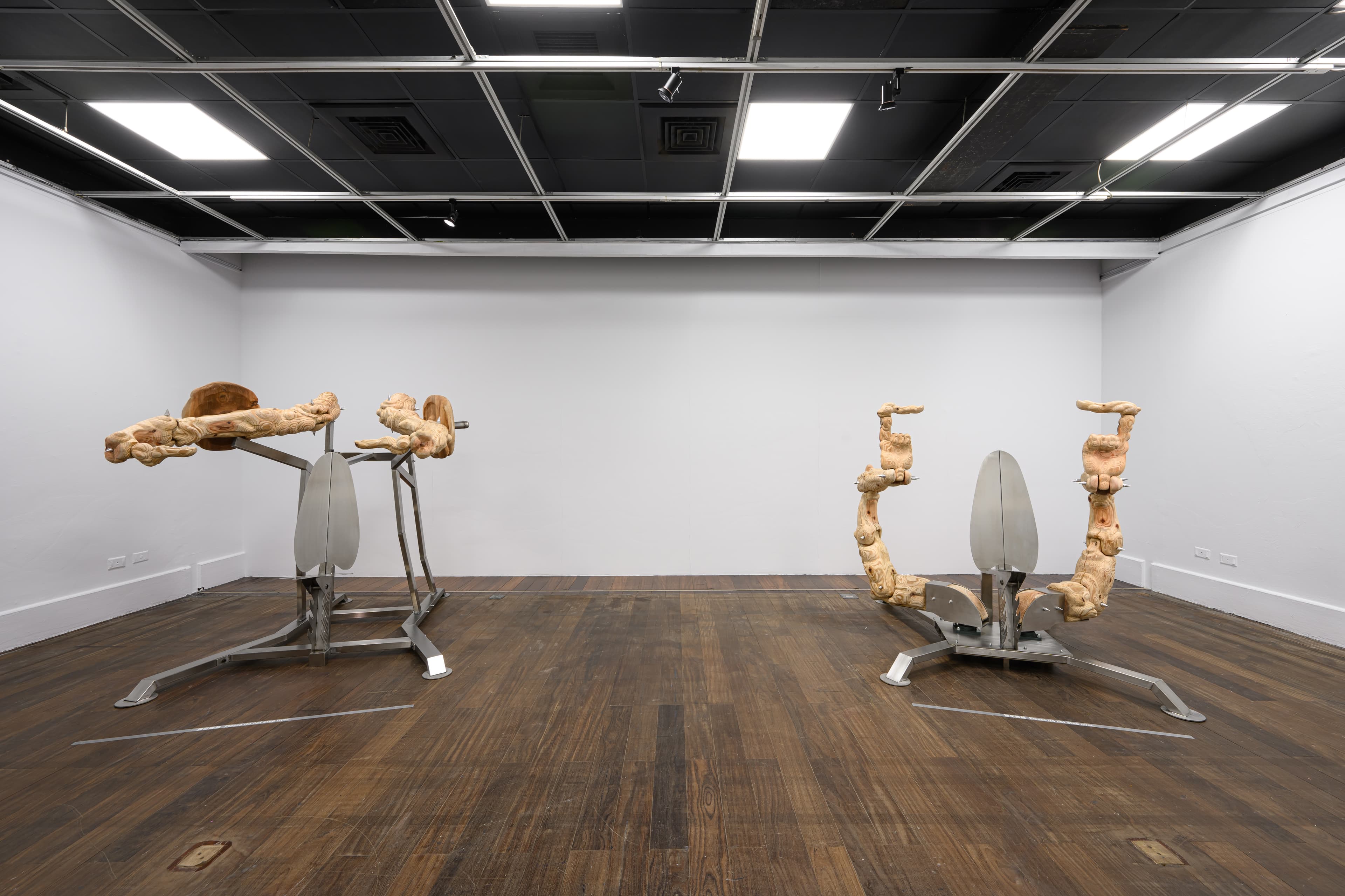 20250120_No Language_2265_Large