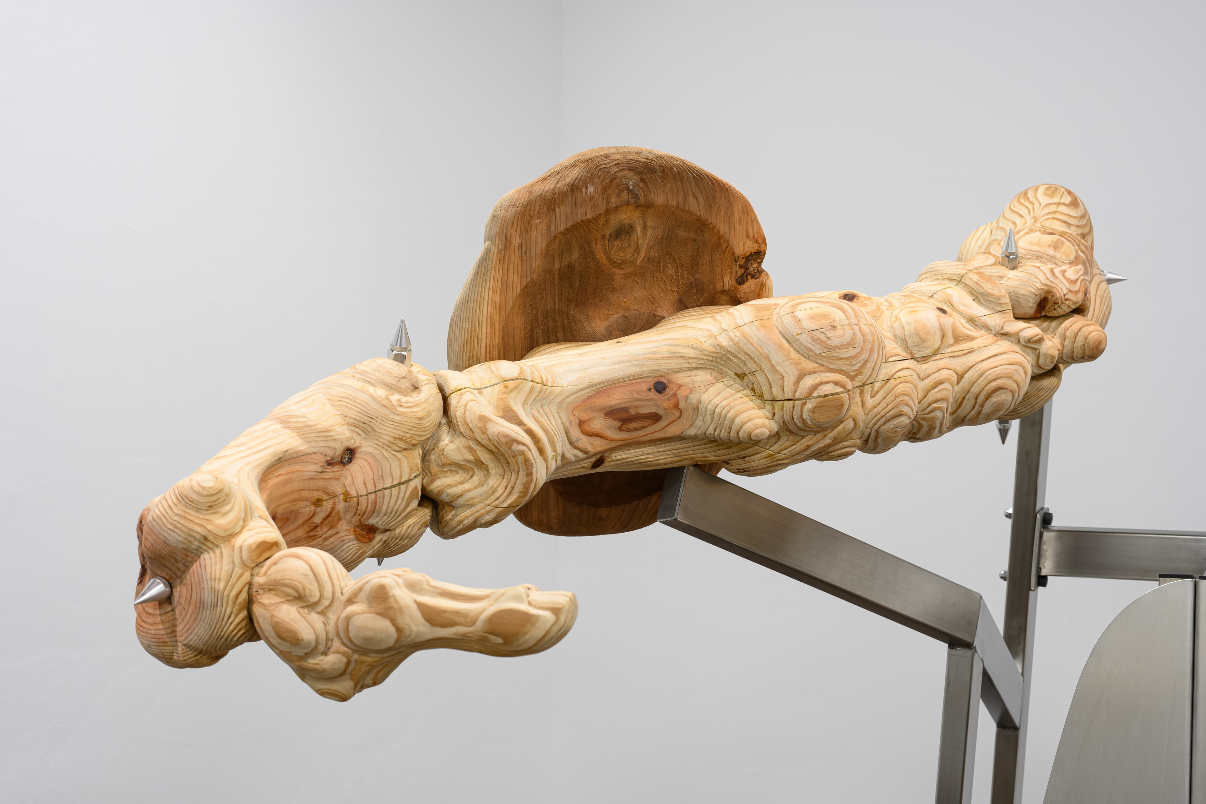 20250120_No Language_2270_Large