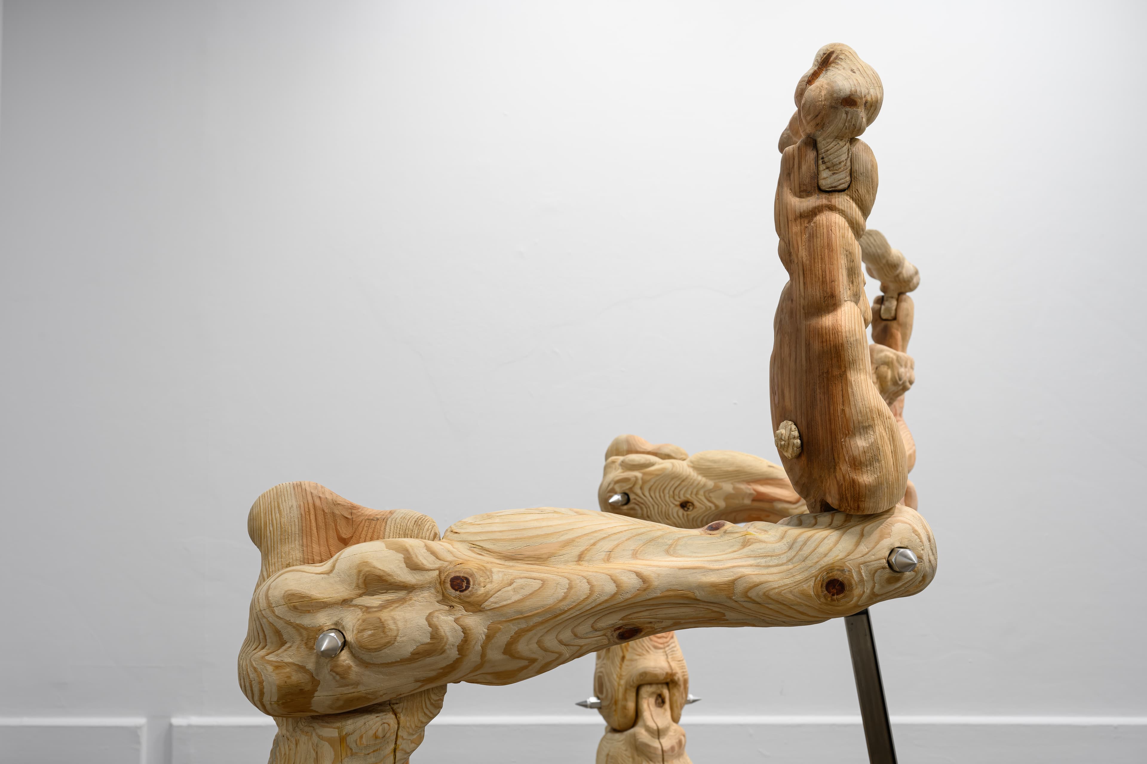 20250120_No Language_2286_Large