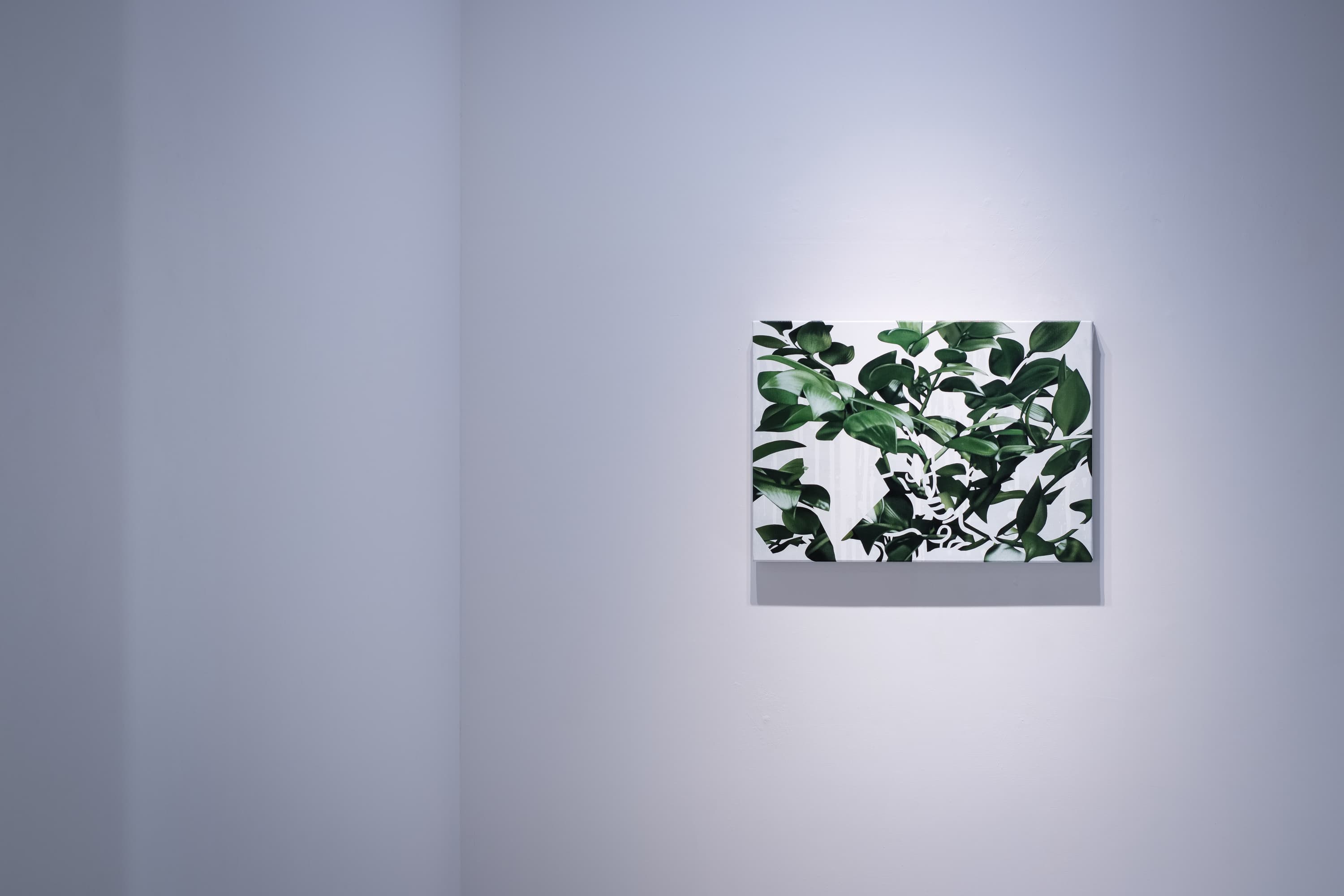 210904121501 mini sRGB 網路