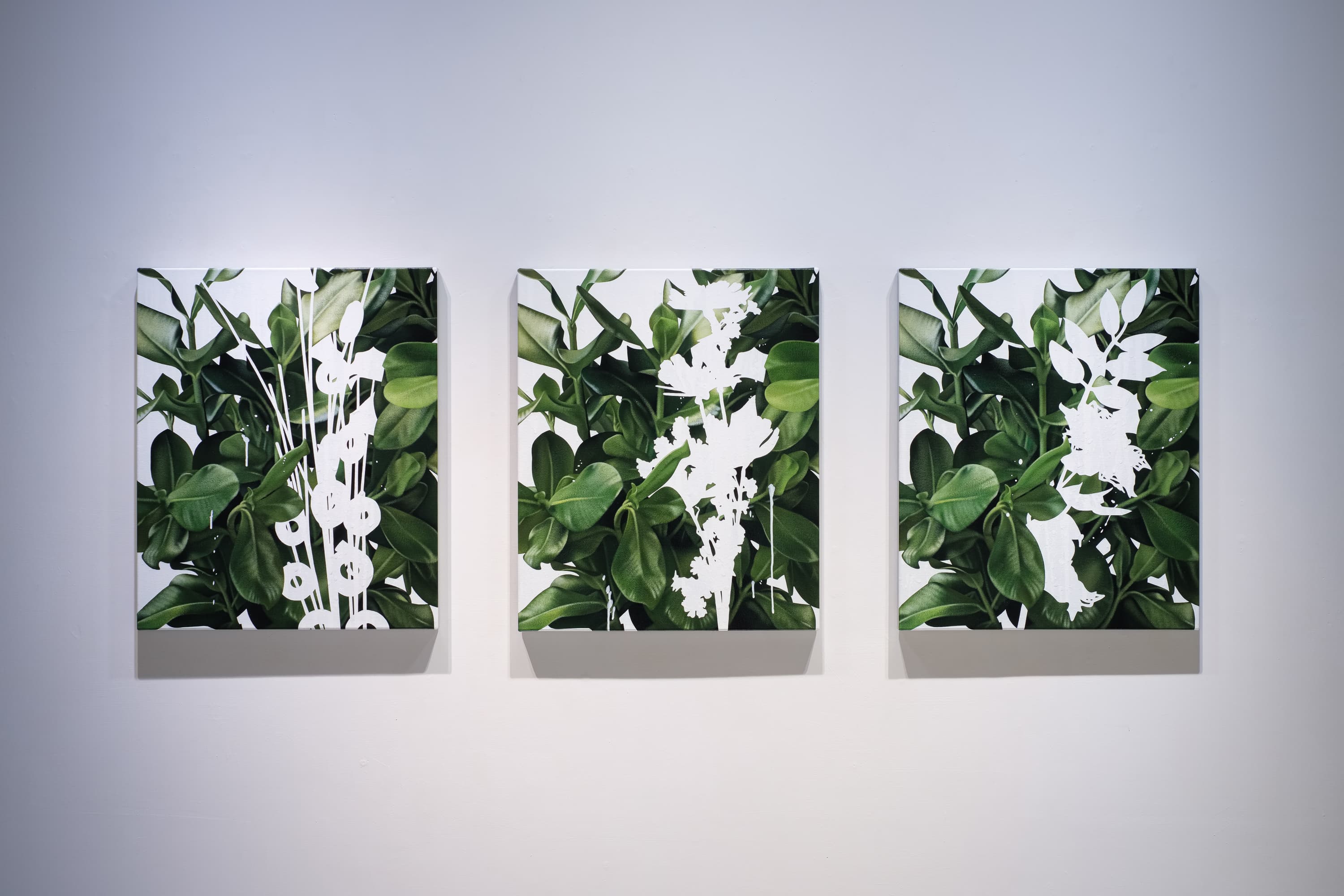 210904122003 mini sRGB 網路